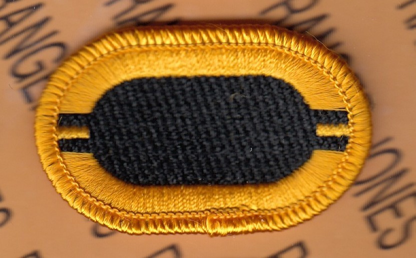 US Army 2nd Bn 327th Infantry Rgt 101st Airborne Air Assault para oval patch m/e