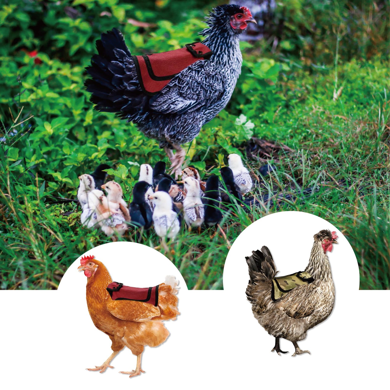 Chicken Saddles for Outdoor hens Apron Back Protector with Adjustable Strap