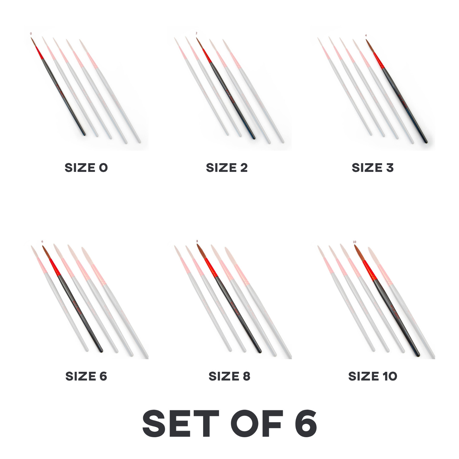 Andrew Mack WS Wizard Scribe Lettering Brush Set of 6 Sizes 0–10 Quill