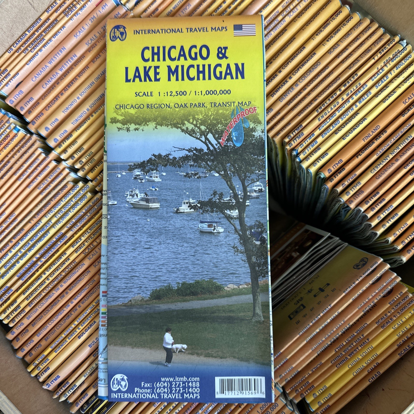 Chicago & Lake Michigan, Illinois, Map, USA, by ITMB