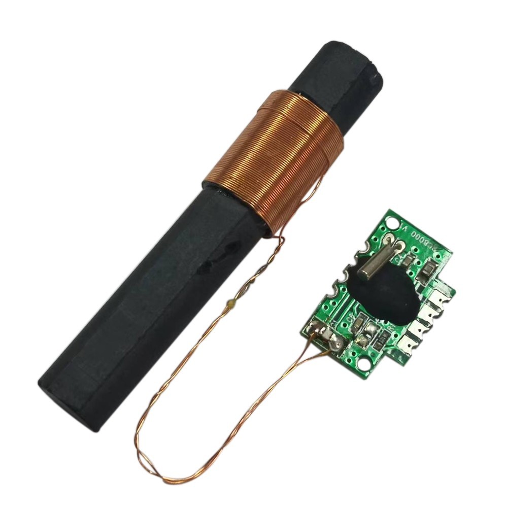DCF 77 Receiver Module Integrated Circuits Radio Time Module 60x10mm DCF77 Pin T