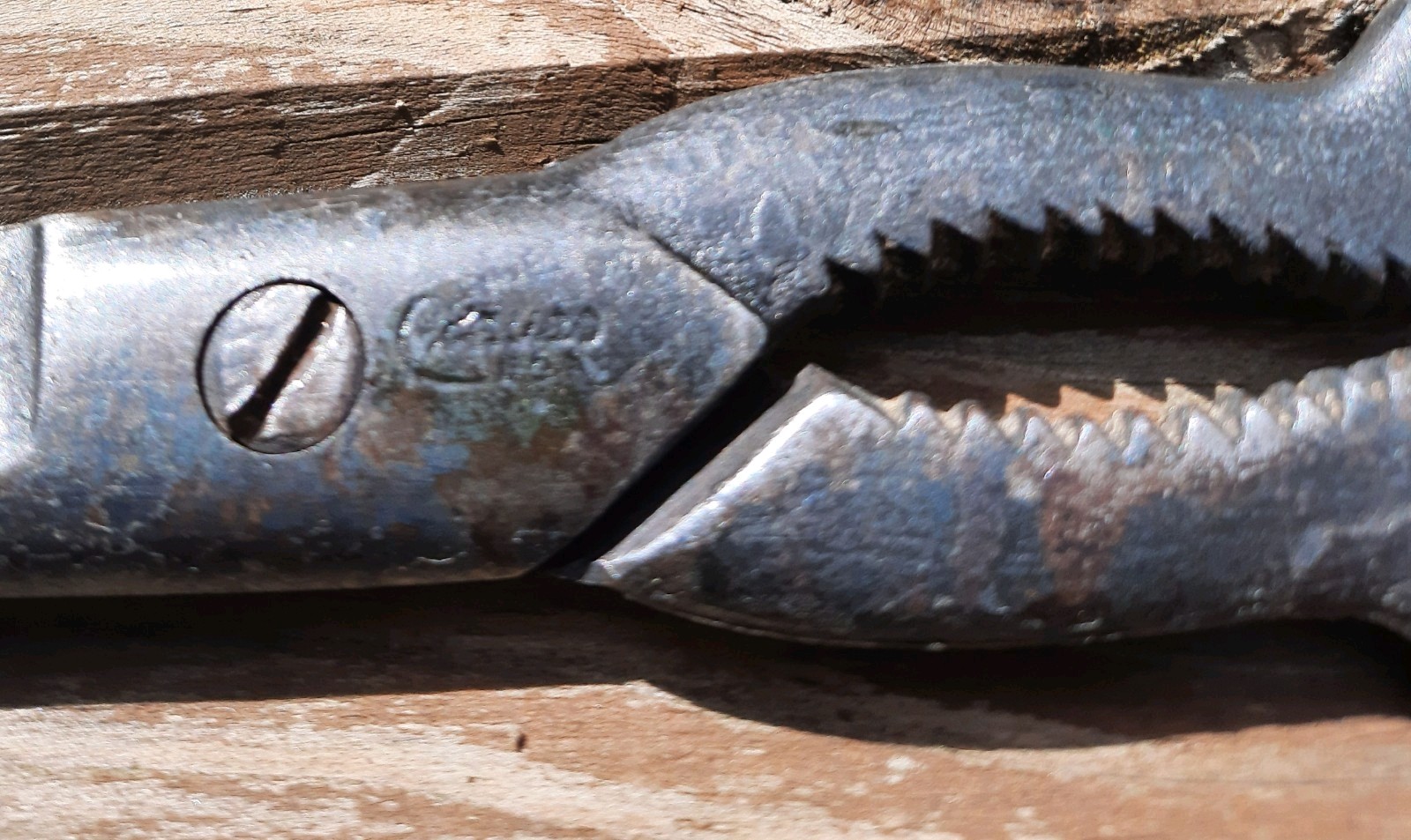 Vintage Clauss Kitchen Shears