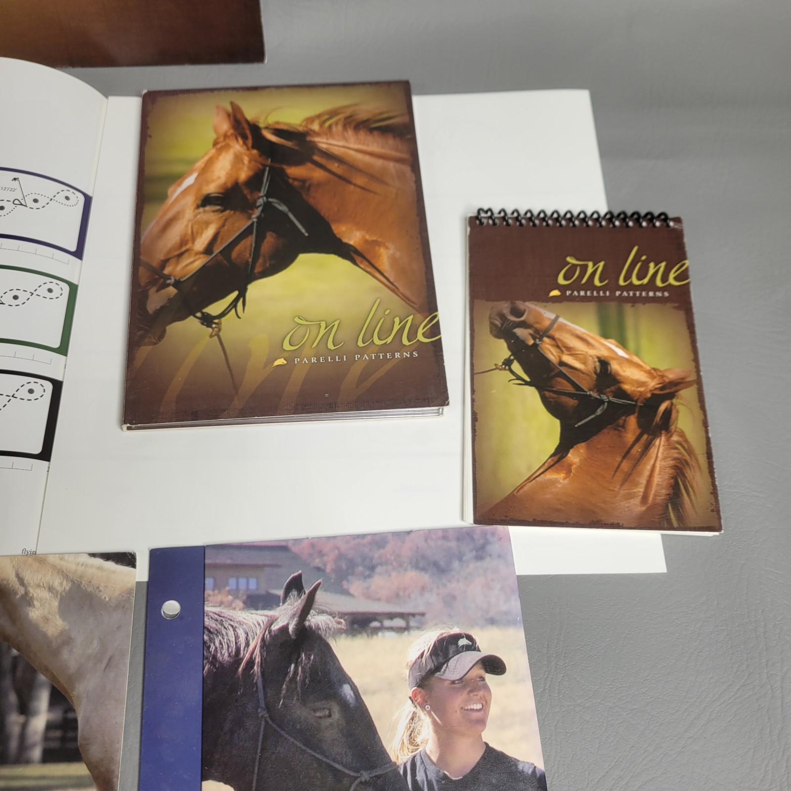 On Line Parelli Patterns - Natural Horsemanship Equine Training