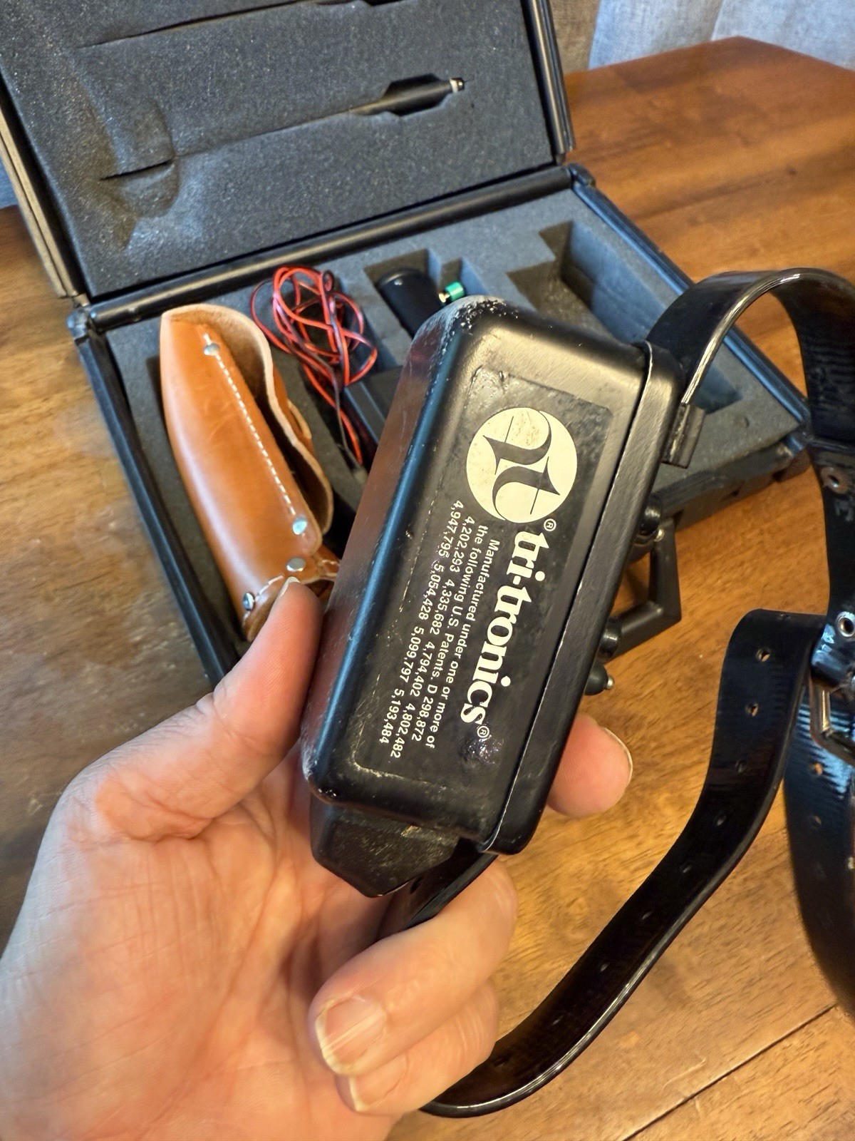 Tri-Tronics 100 LR II Professional Hunting Dog Collar Trainer System UNTESTED