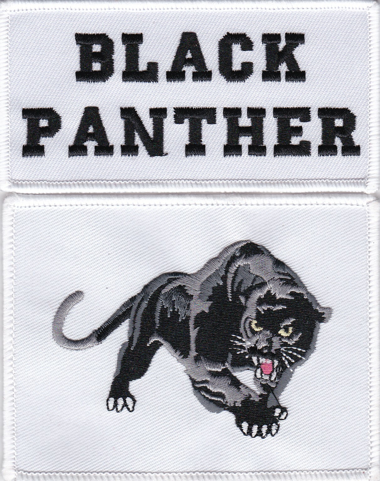 BLACK PANTHER PARTY AND THE NATION OF WAKANDA SEW/IRON ON PATCH BADGE AFRICA
