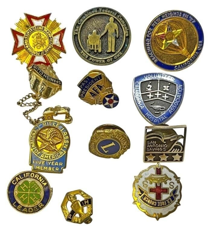 Vintage Pins NRA, Lions, Eastern Star, 4H, VFW, & More – YOU PICK Pin