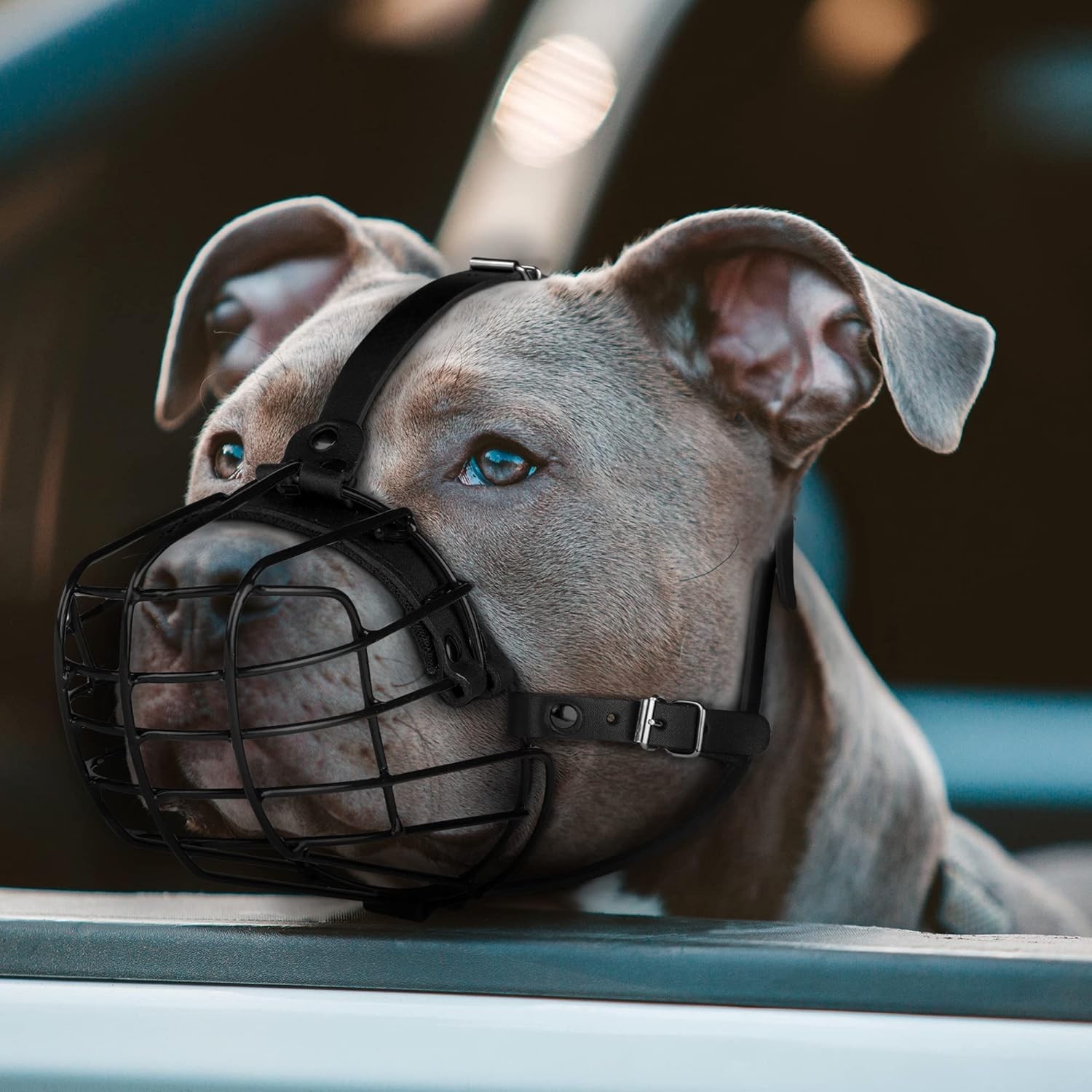 Pitbull Dog Muzzle Metal Mask Amstaff Secure Wire Basket Adjustable Durable Leat