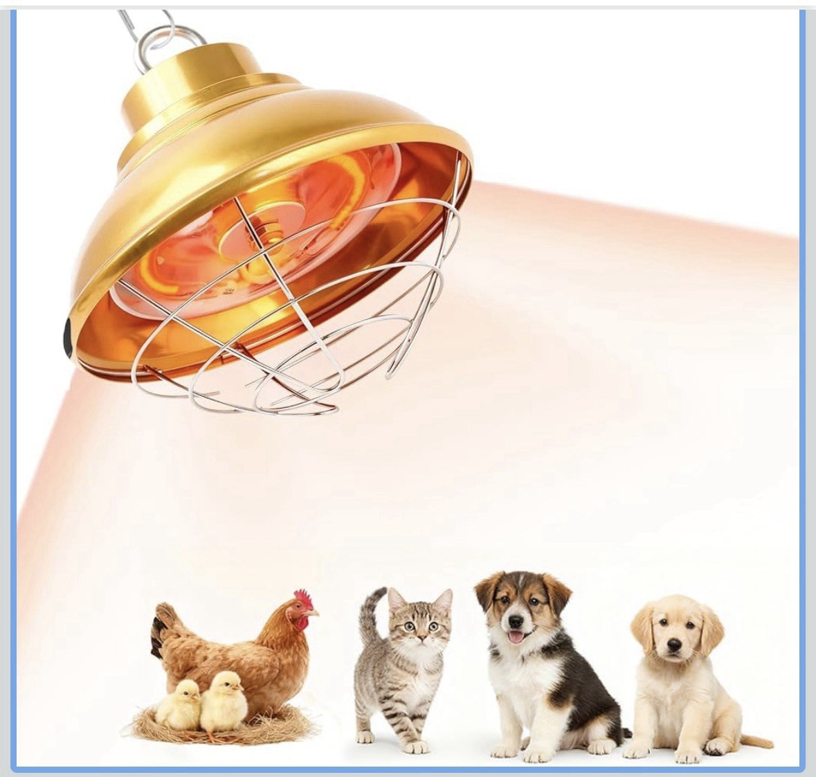 Chicken Coop Heat Lamp 350W w/protective shield on/off switch, w/chain 110-120V