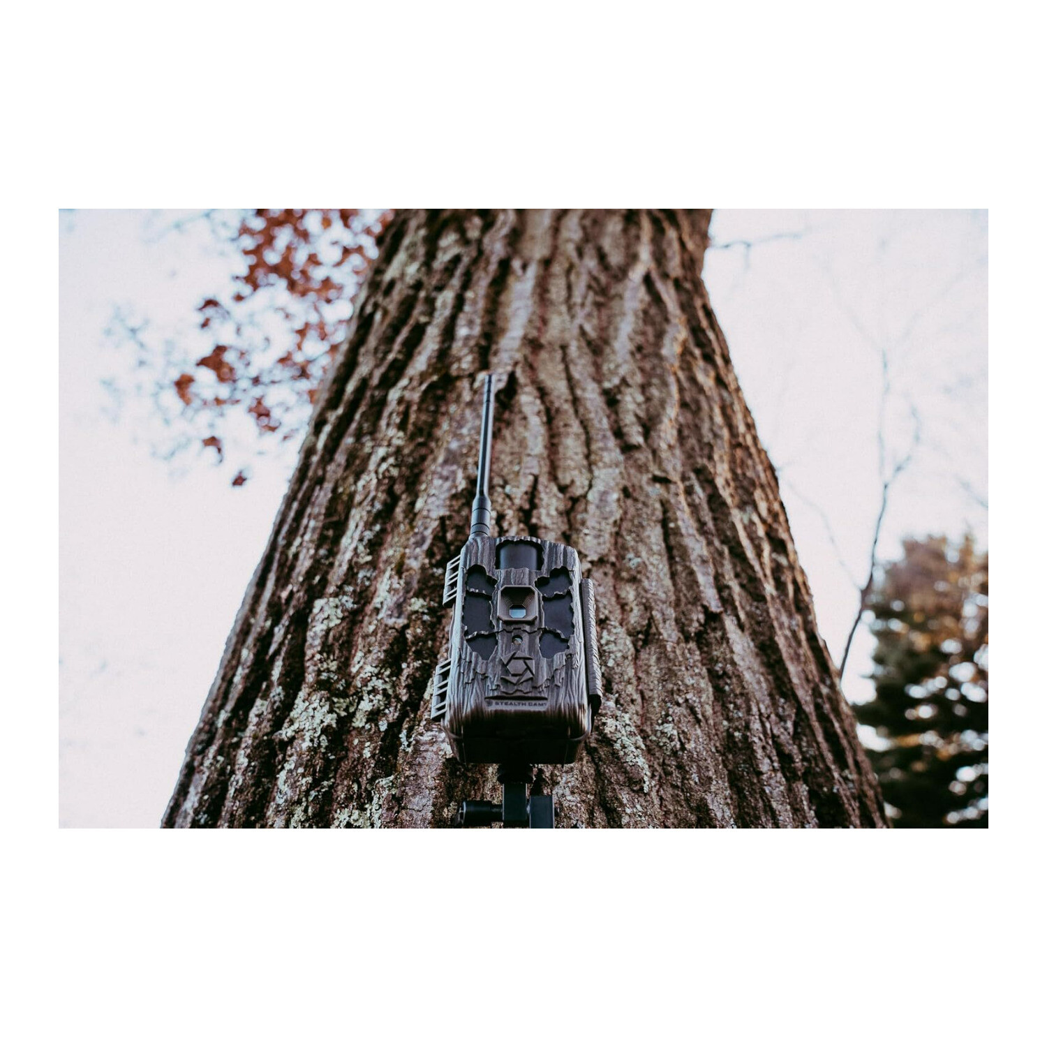 Stealth Cam Deceptor Max 2.0 Dual Core Brown Cellular Camera 2 Pack