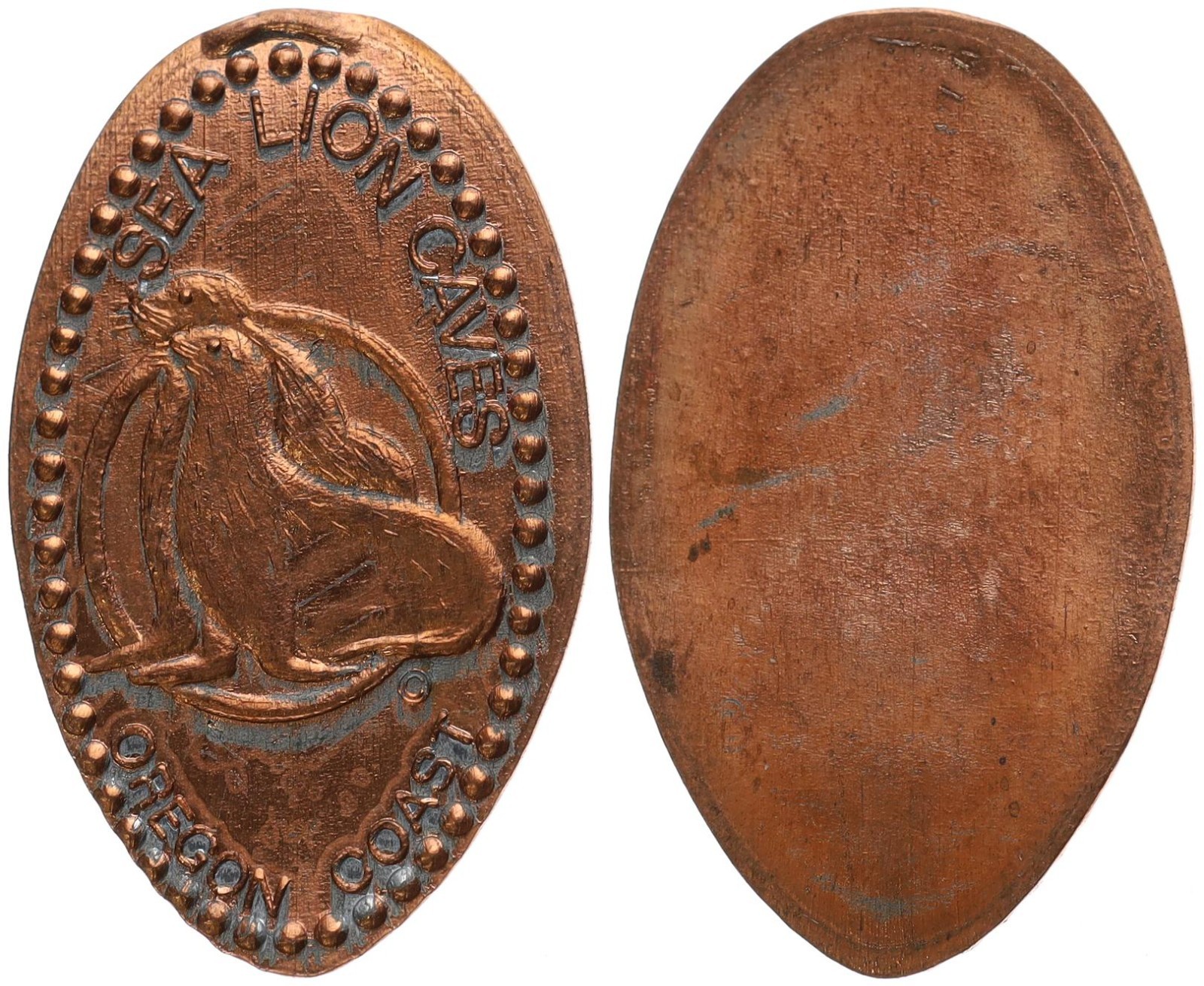 Medal Elongated Coin - USA Sea Lion Caves Oregon Coast