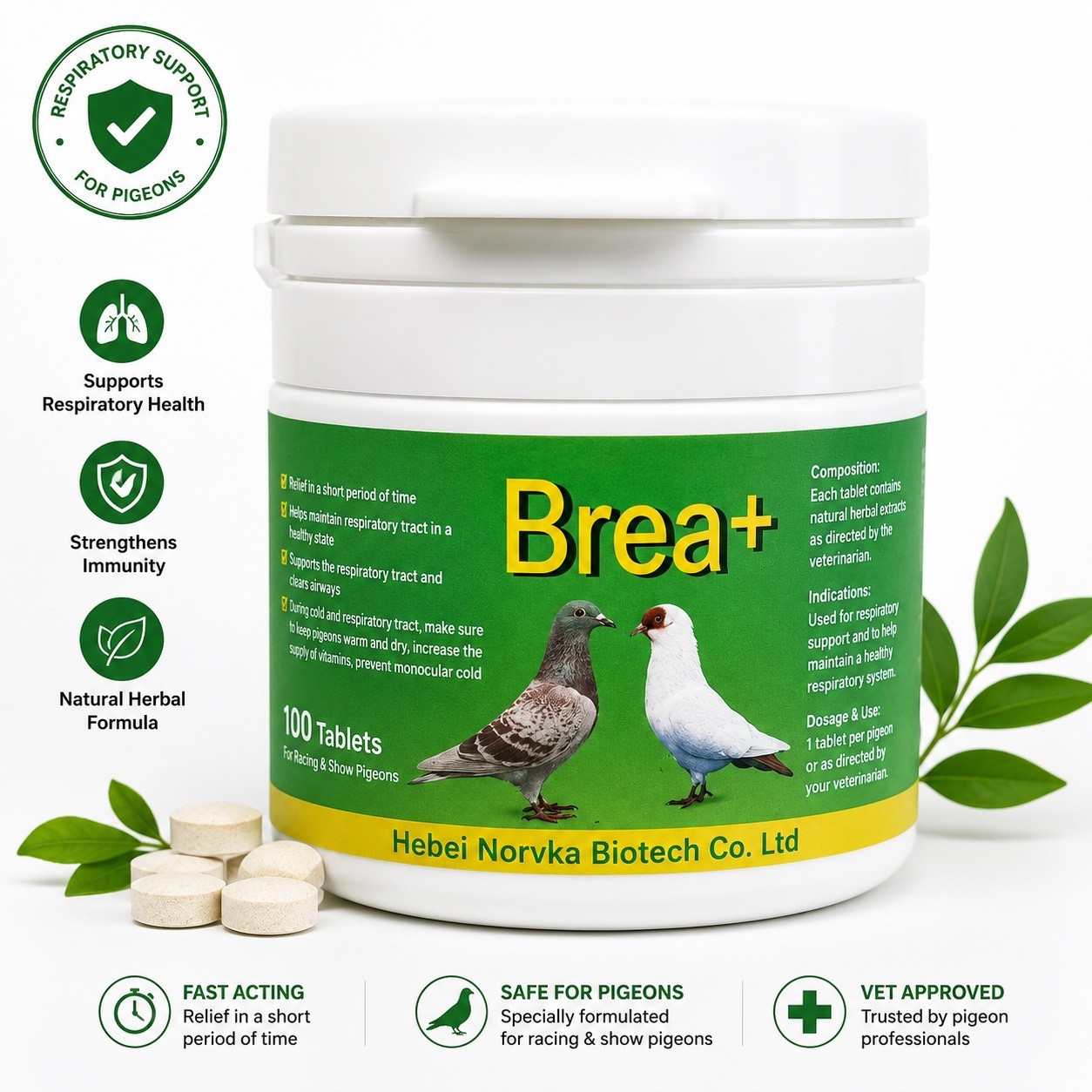 Breathe + Pigeons Support for Birds