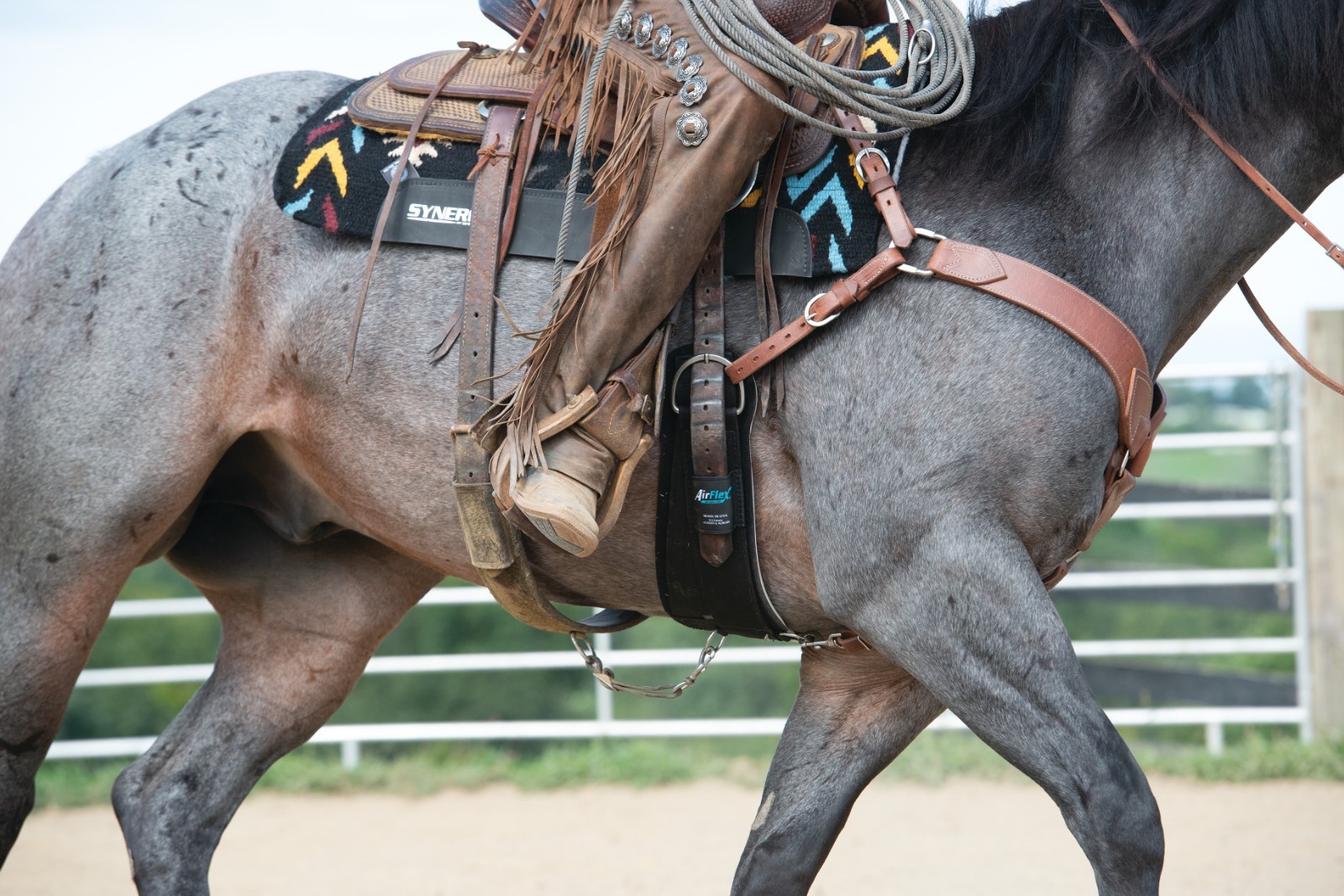 Weaver Leather, AirFlex® Roper Cinch with Flat Buckles