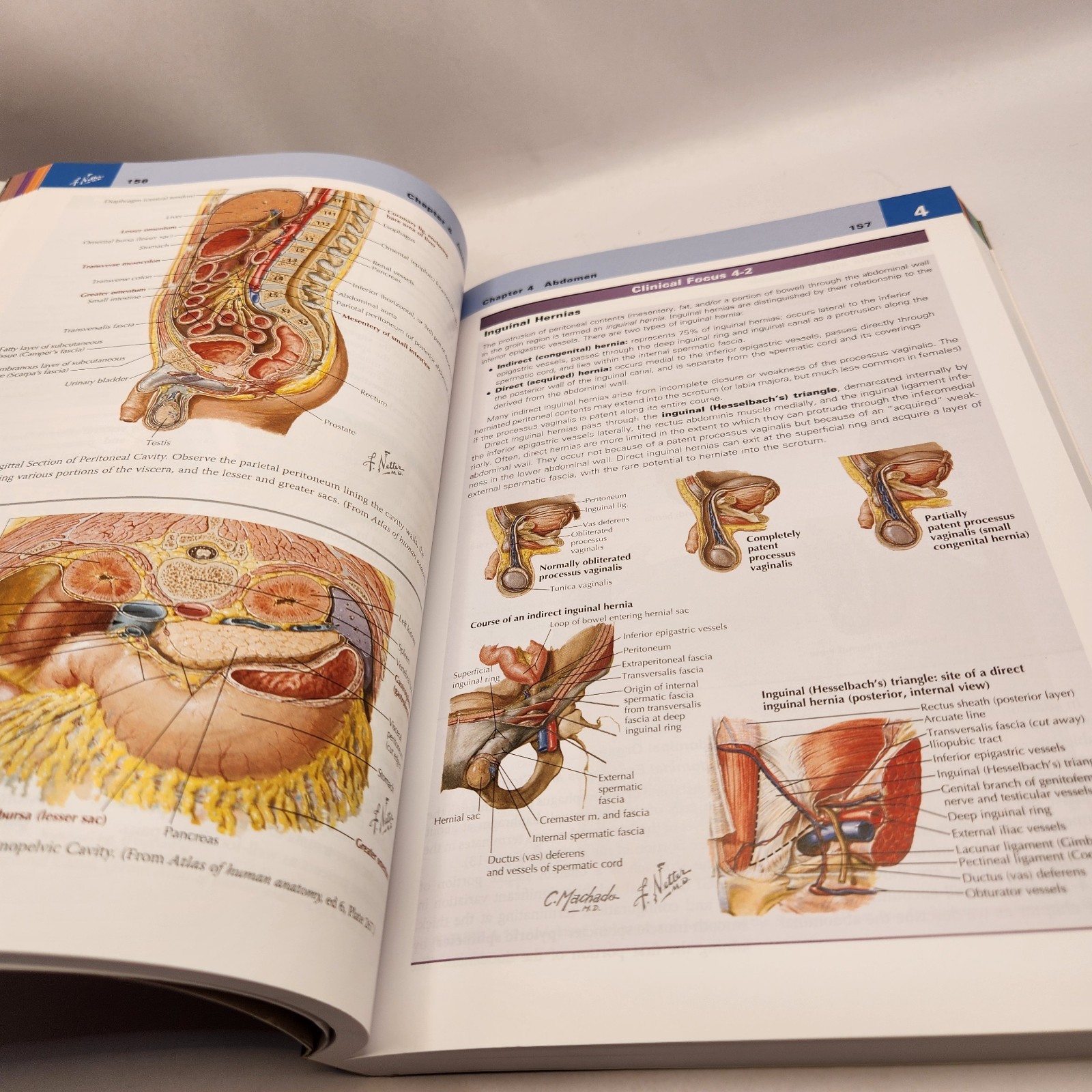 Netter's Clinical Anatomy 3rd Edition with Online Access Basic Science Book