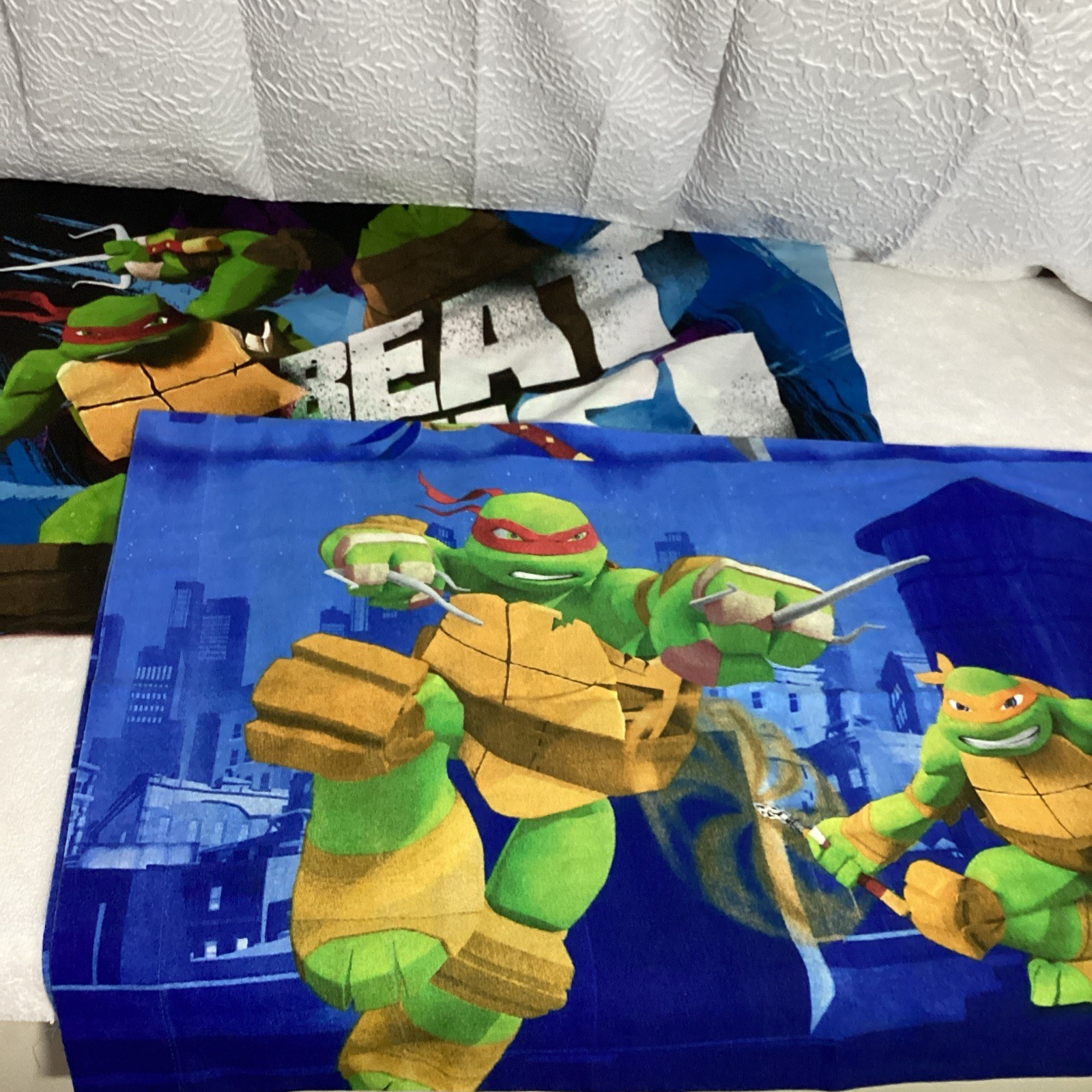 Lot of 2 Teenage Mutant Ninja Turtles Standard Pillowcases Double Sided 2014