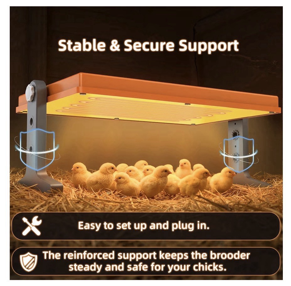 Chick Brooder Heater Plate 12x8 Inches. Adjustable Height And Temperature 🐣 New