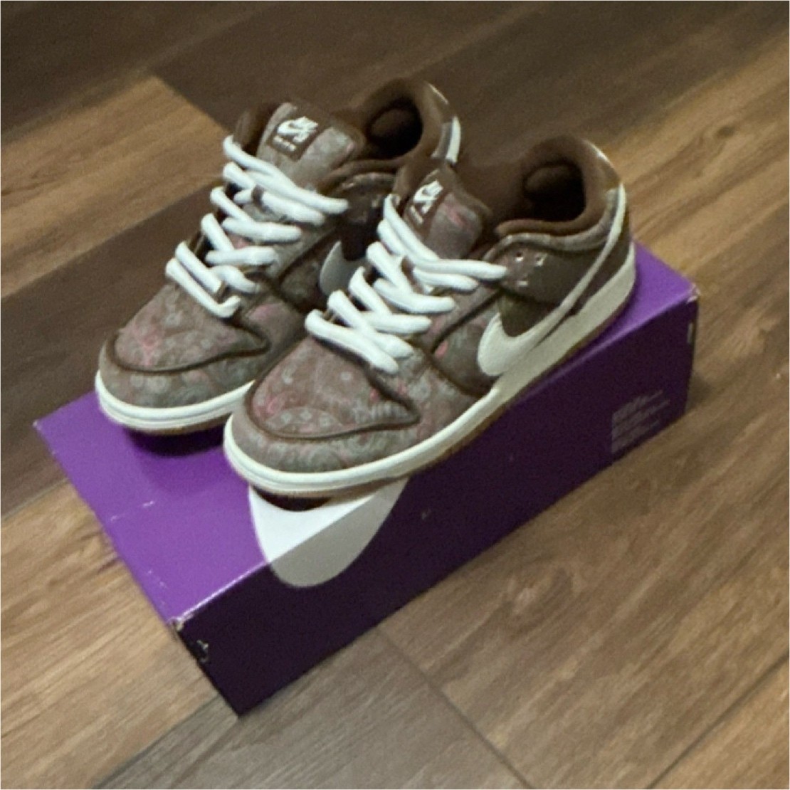 Nike SB Dunk Low Top Brown Paisley Men's Skateboarding Shoes for Skateboarding