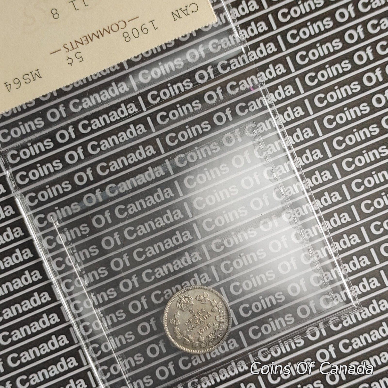1908 Canada 5 Cent Silver Coin ICCS - MS 64 Small 8 #coinsofcanada