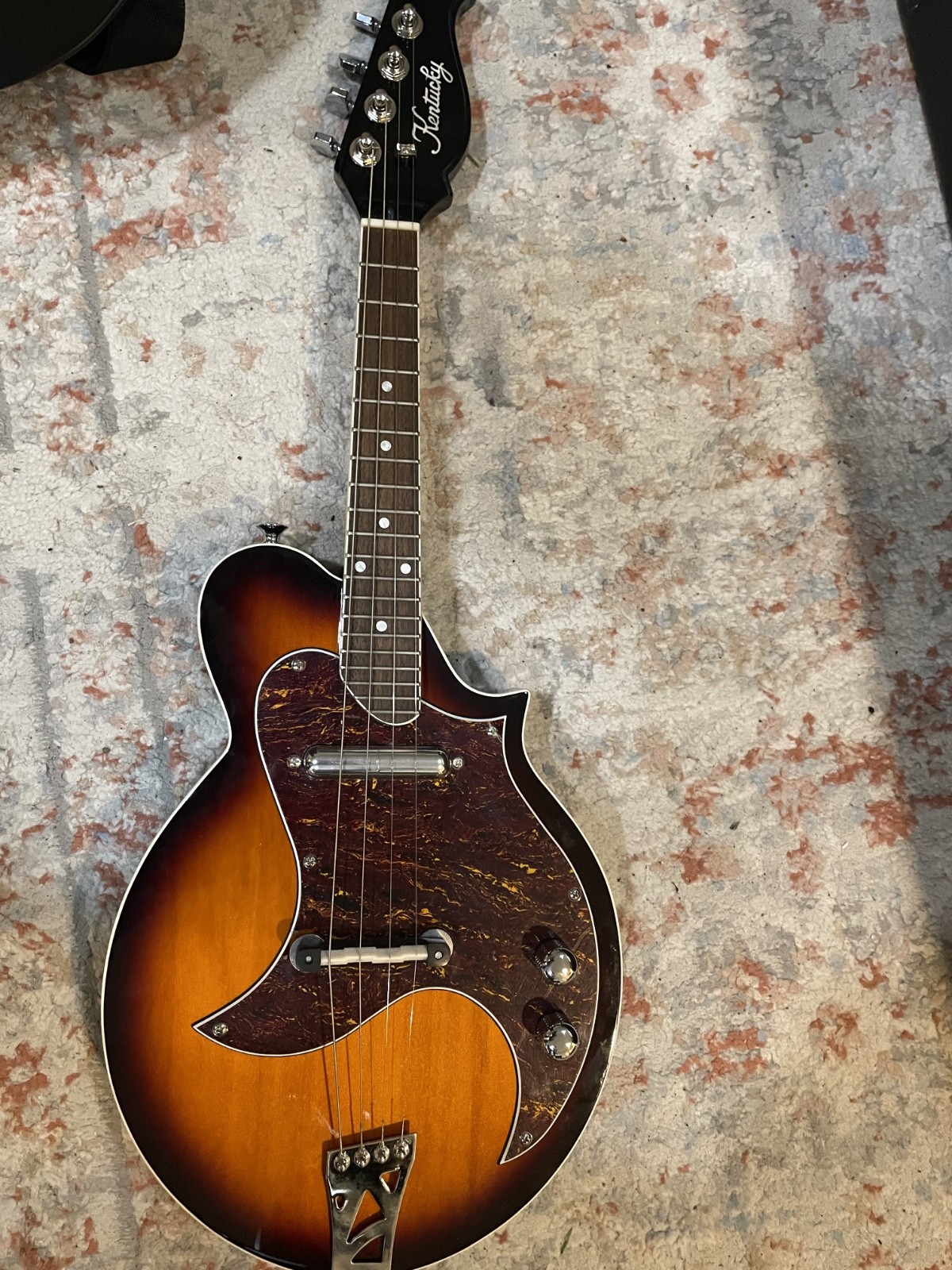 Kentucky KM-300E  4-String Electric Mandolin (Travelite Case)