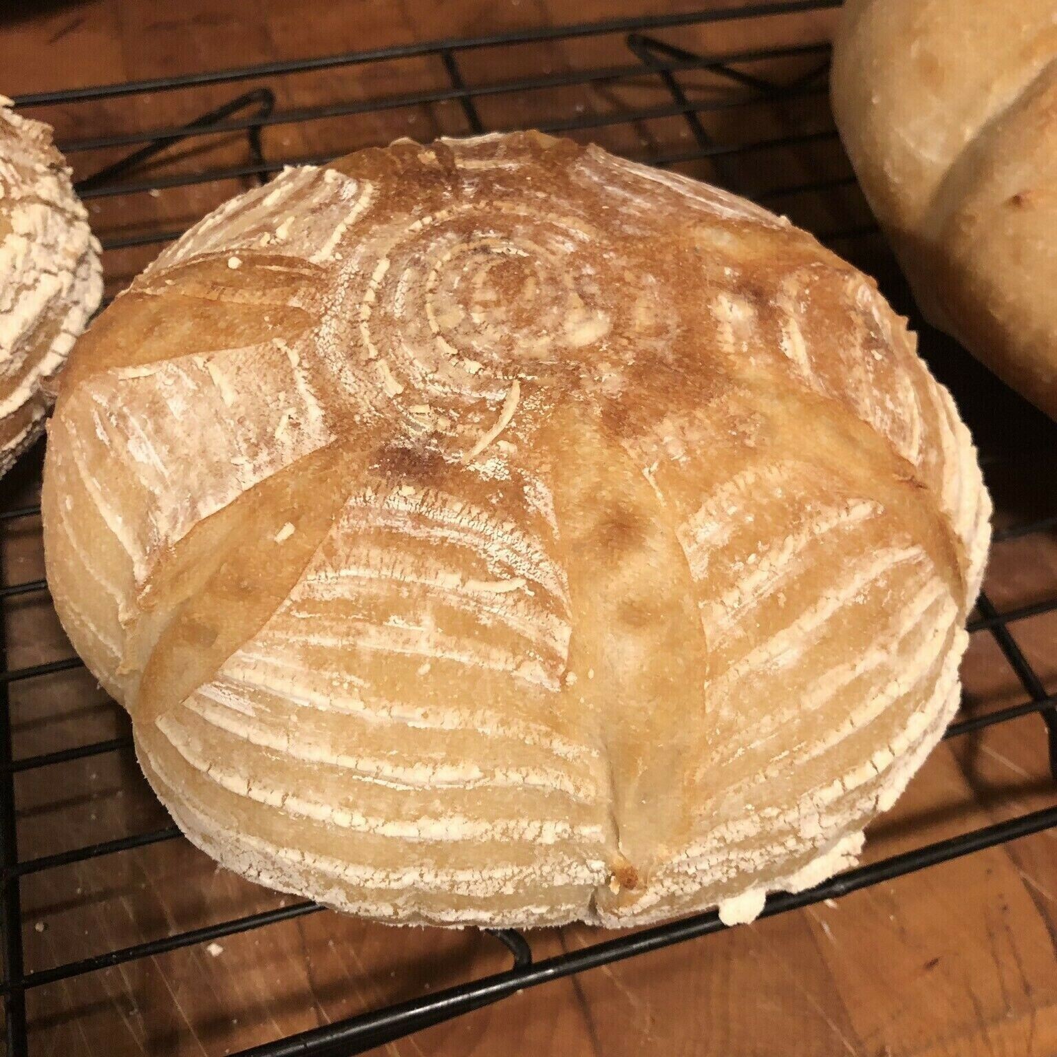 Sourdough Starter Dehydrated Organic Sour Active Alaskan - 15 Gram Bag