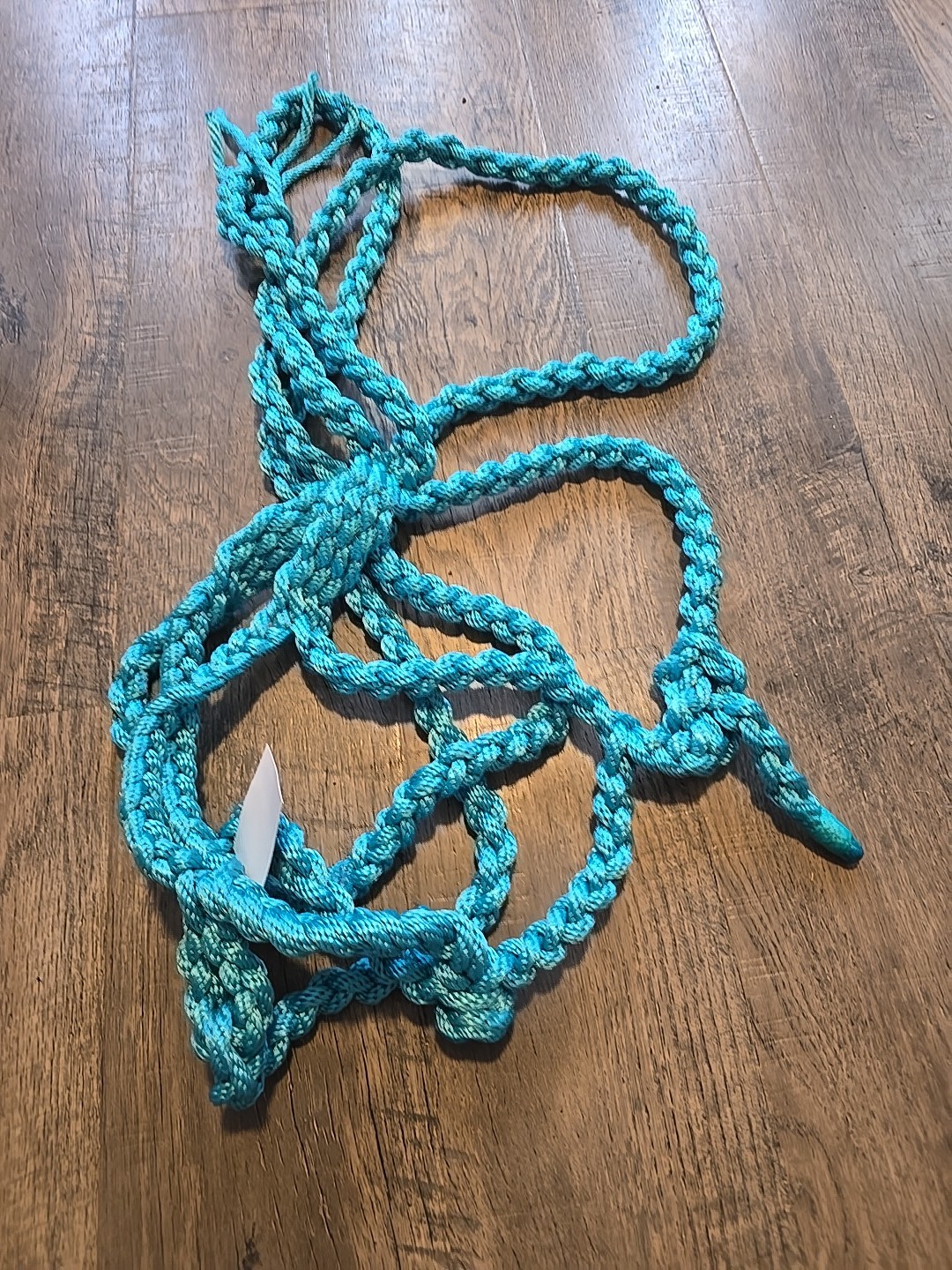 mule tape halter