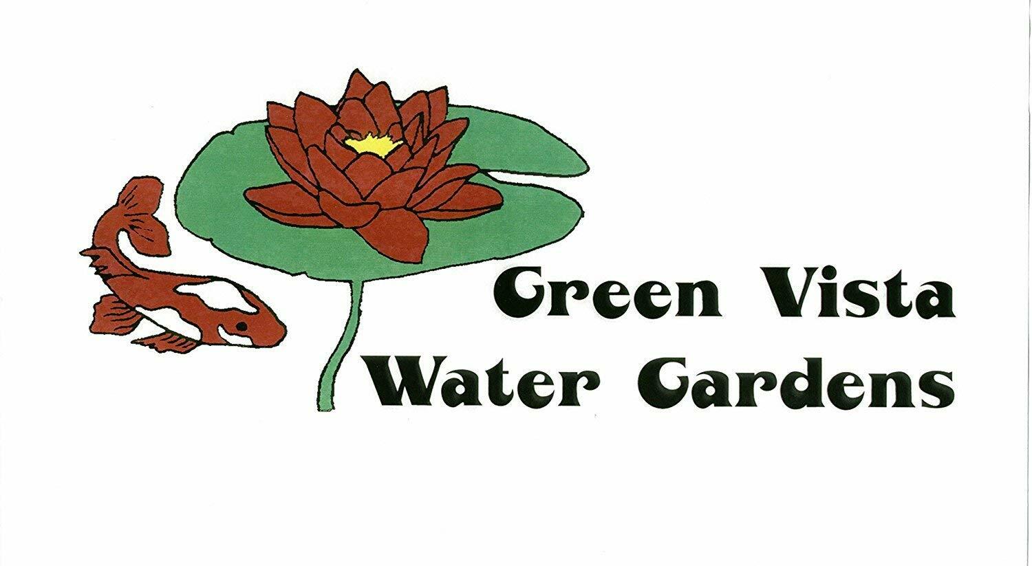 8 oz Green Vista Hydro-Bugs Dry Bacteria & Enzyme Pond Water Treatment-fish safe