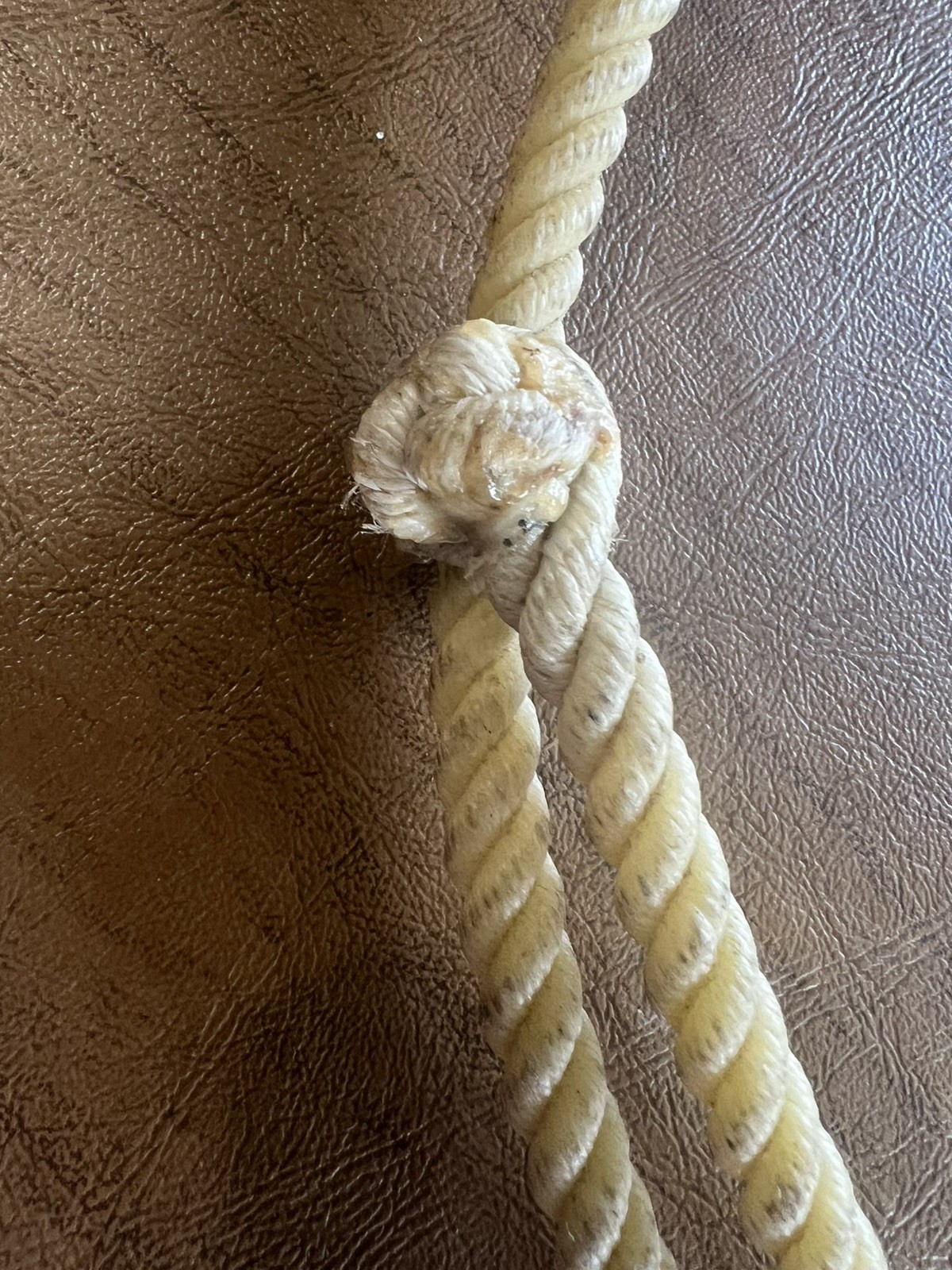 Rawhide Neck Ring For Bridleless Training