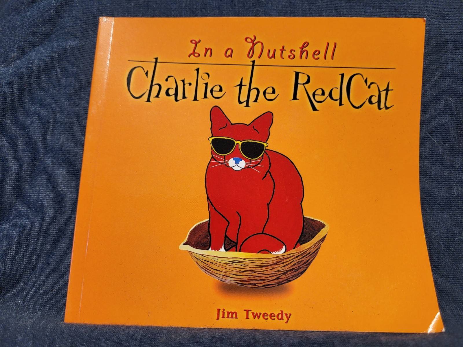 Charlie The Cat Plush and Book Set 1999