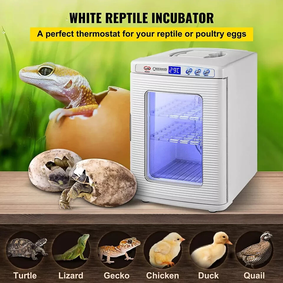 Incubadora De Huevos De Reptil Digital Pollo Para Ninos Reptile Incubator.