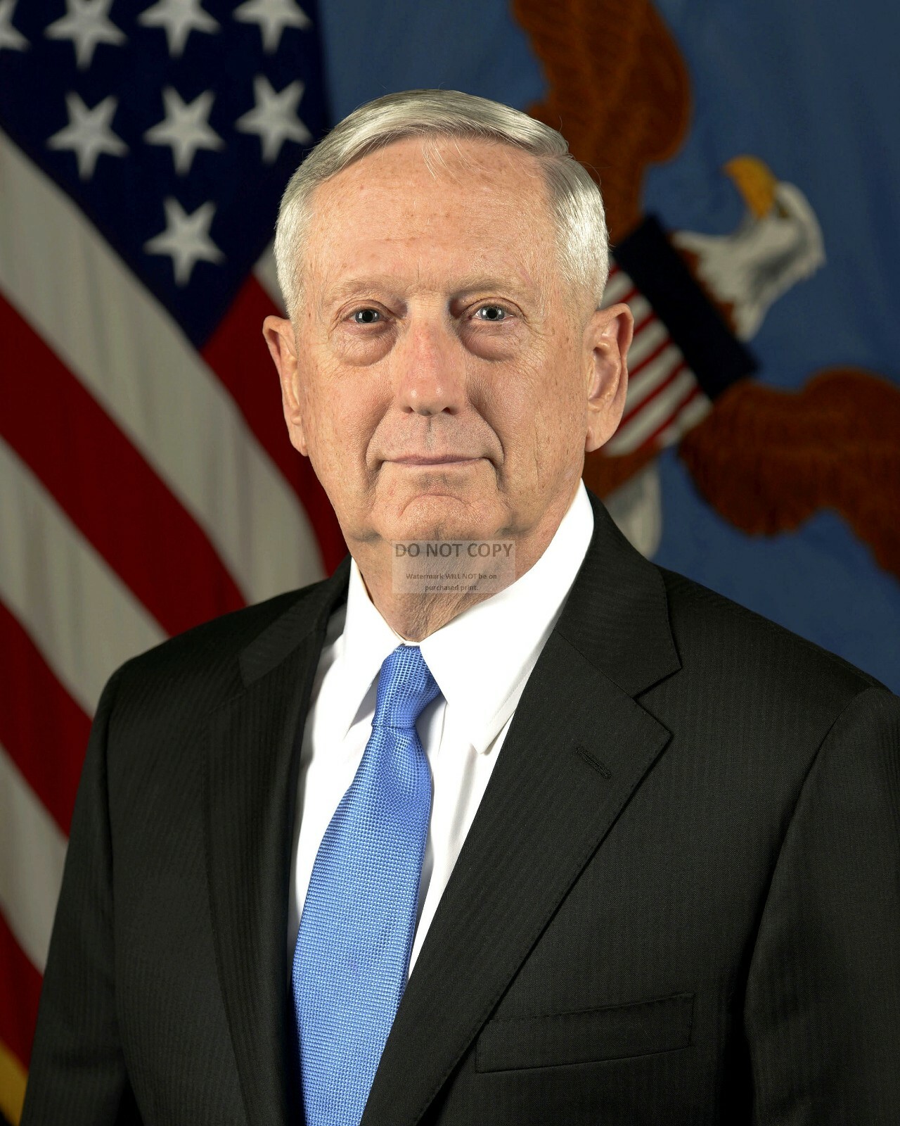 JAMES MATTIS SECRETARY OF DEFENSE OFFICIAL PORTRAIT - 8X10 PHOTO (ZY-759)