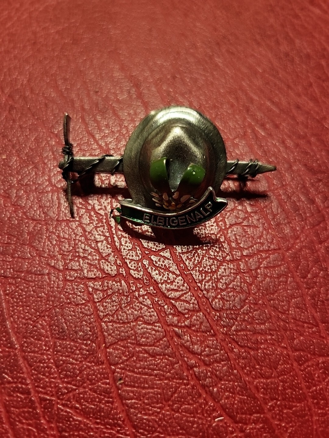 Pin hatpin hiking pin brooch Elbigenalp
