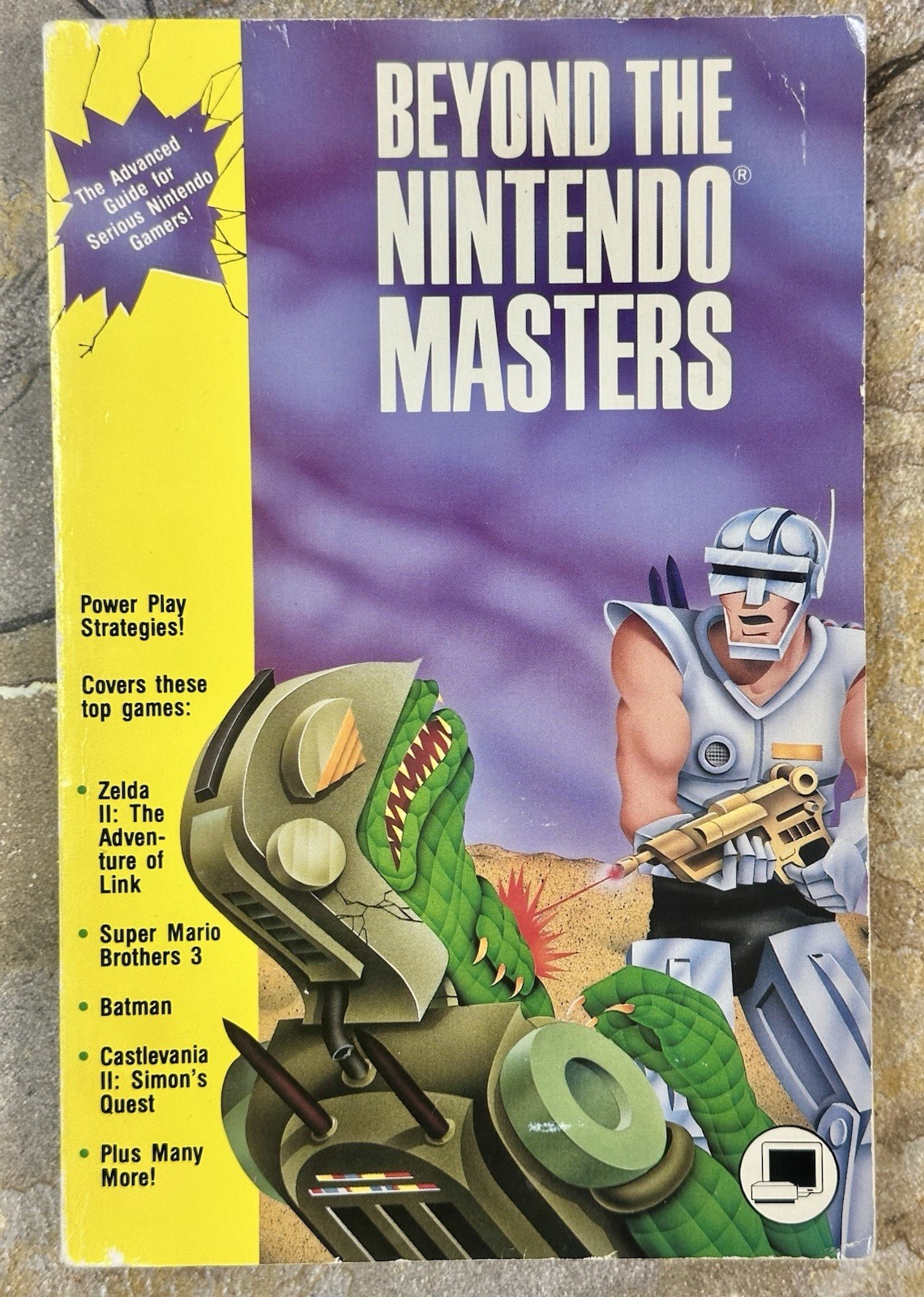 Beyond the Nintendo Masters by Walnum & Eddy from Hayden Books for NES