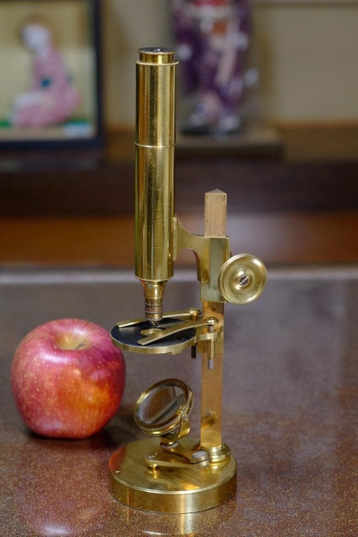Antique Microscope No. 12: Simon Plössl's "Achromatic" Microscope