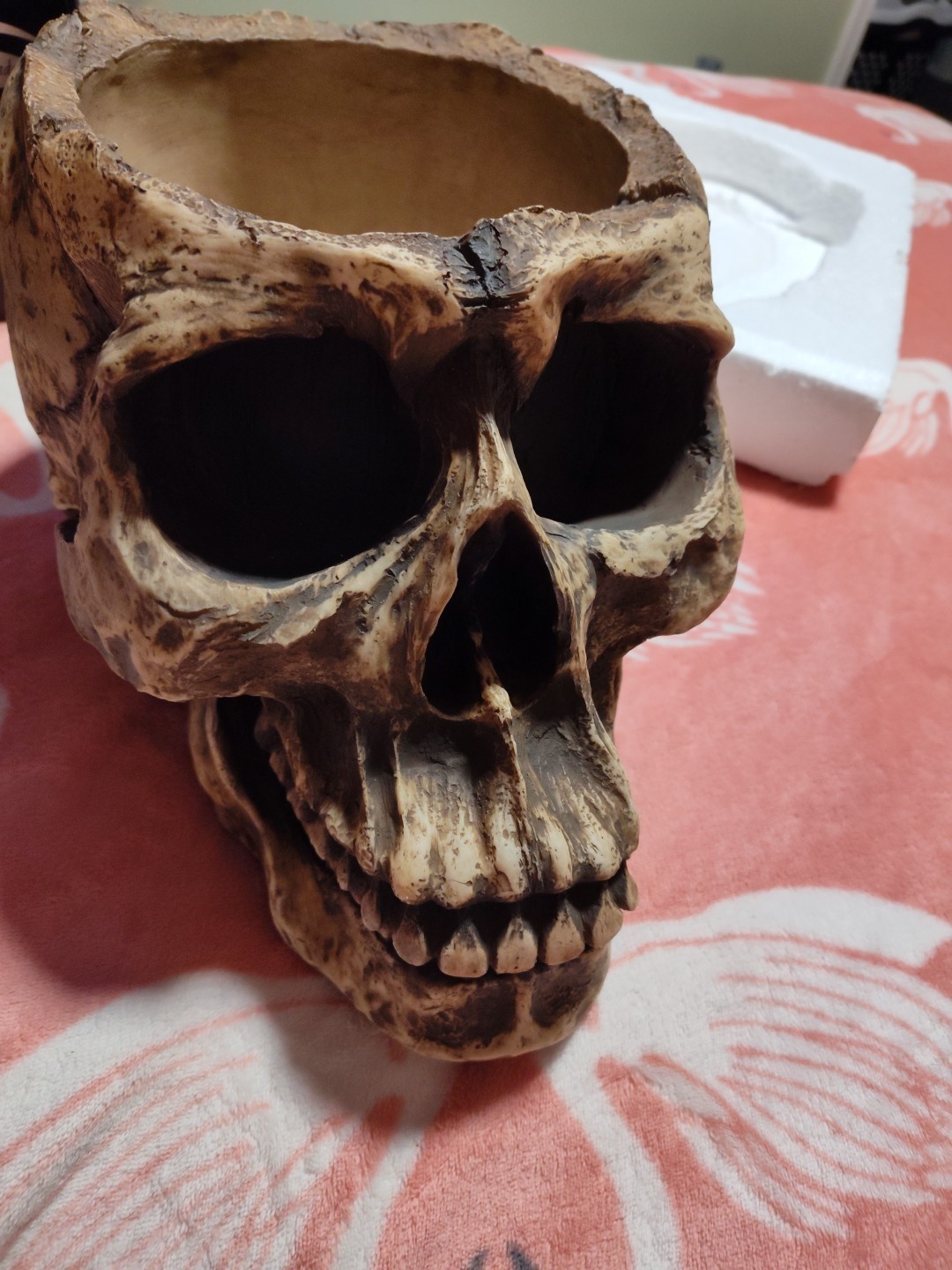WORLD OF WONDER LARGE SKULL PLANTER