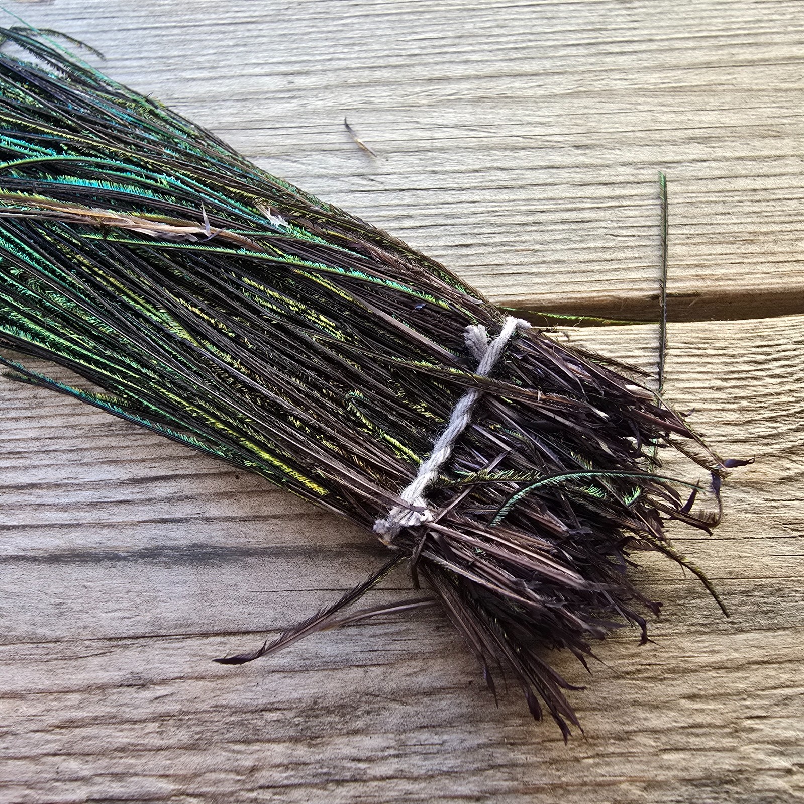 Peacock Herl Dyed - Fly Tying Materials