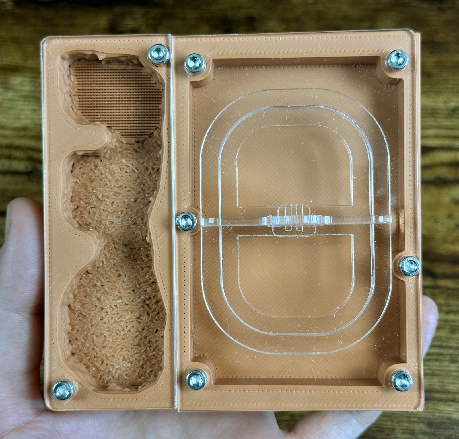 Ant farm "Eco"