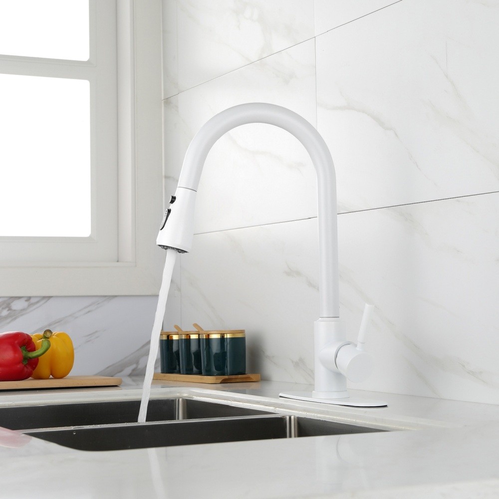Kitchen Faucet with Pull Out Sprayer Single Handle High Arc Stainless Steel