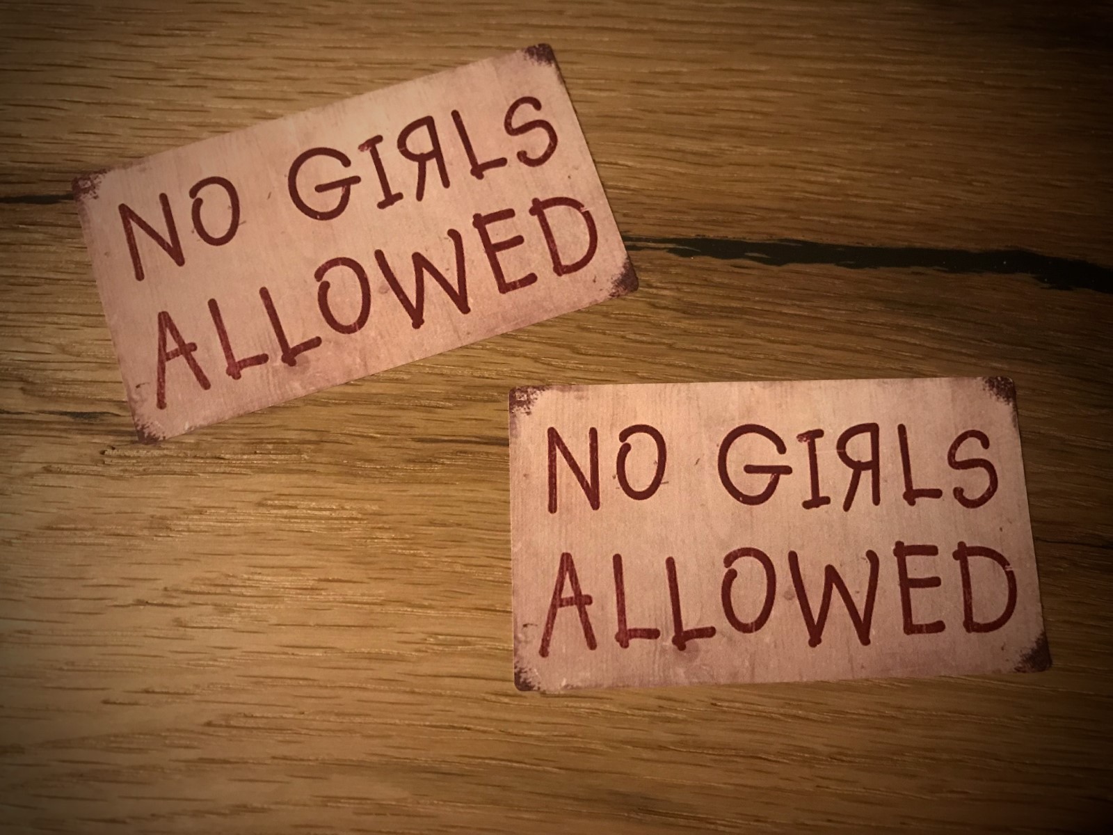 2x Decal No Girls No Women Men Garage Tuning OEM JDM Sticker OLD #108