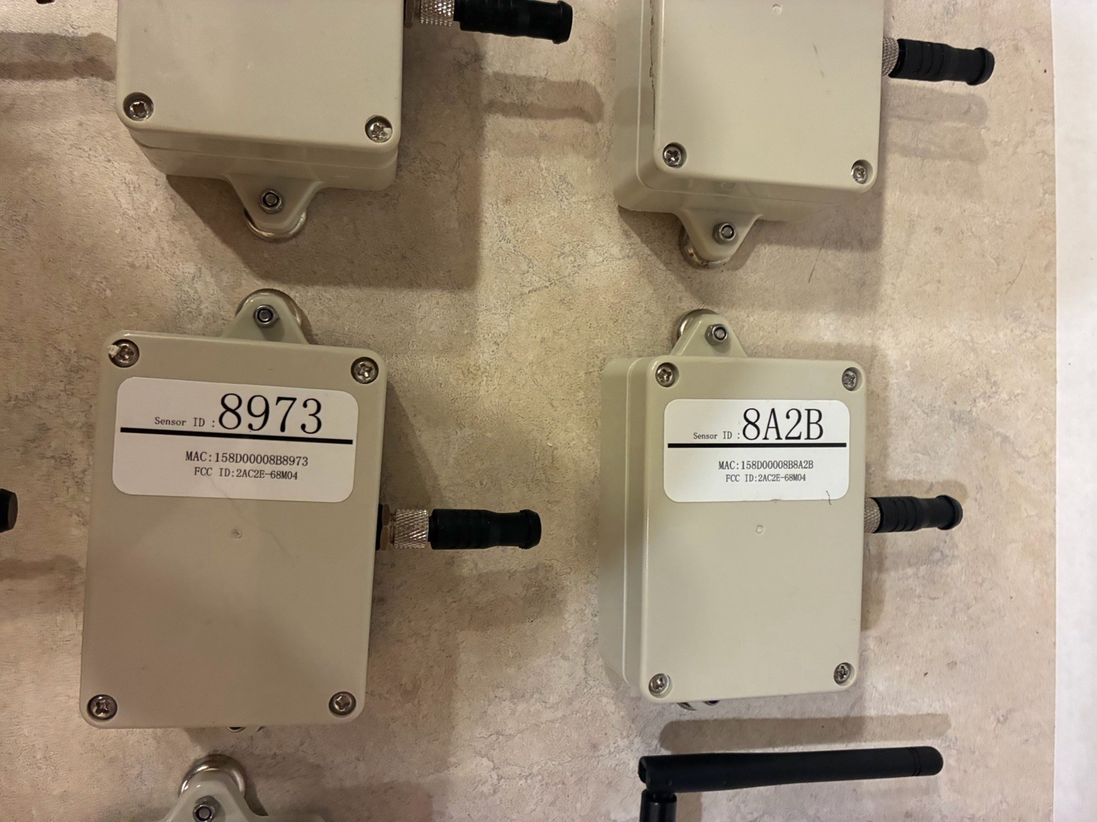 Lizard Monitoring Temperature System