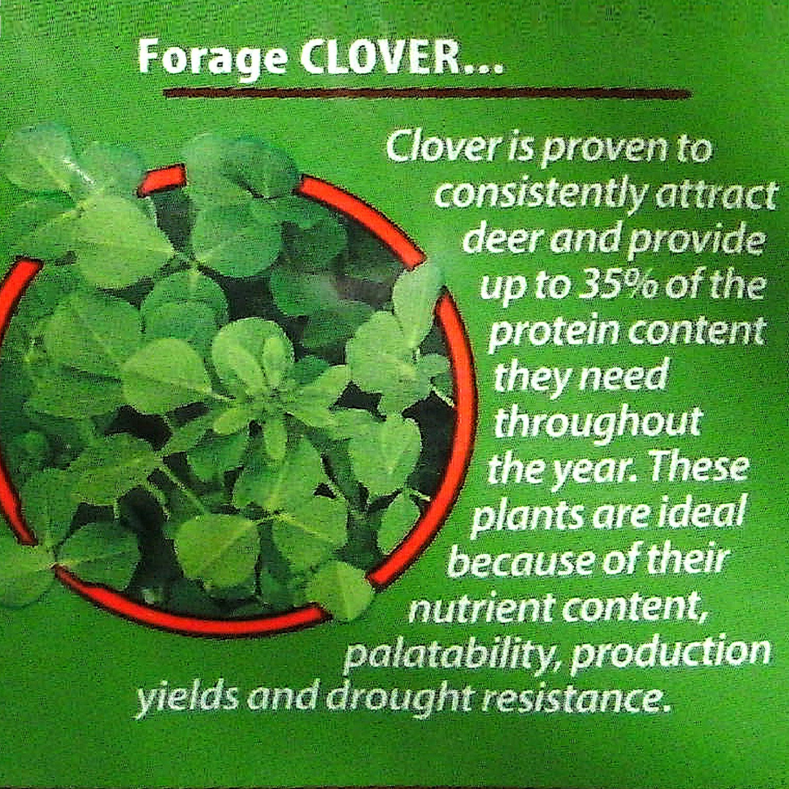 BULK BAGED EVOLVED HARVEST Throw & Gro CLOVER NO-TILL FORAGE FOOD PLOT SEED