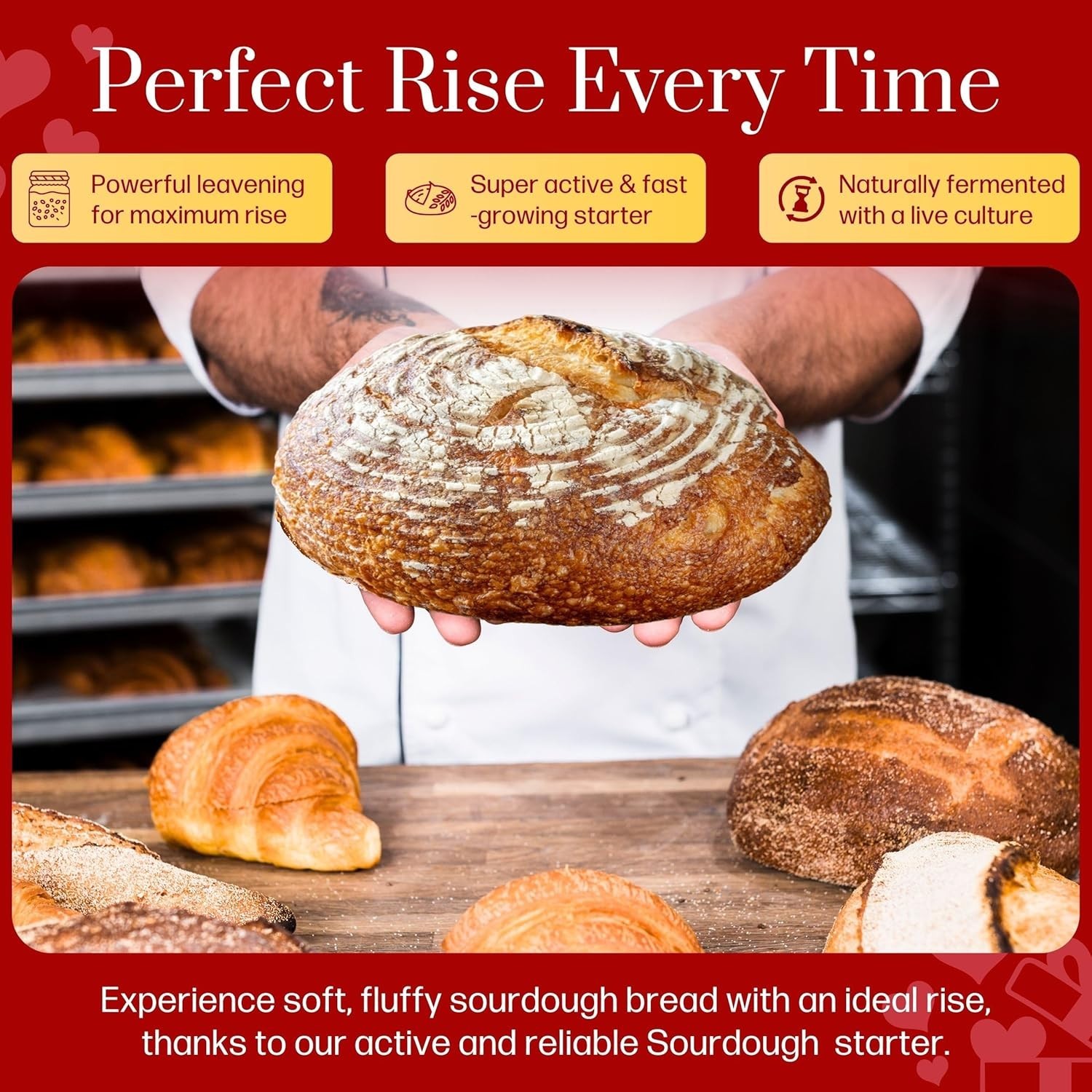 Versatile 100- Sourdough Starter Kit - Ideal for Beginners & Artisan Bakers