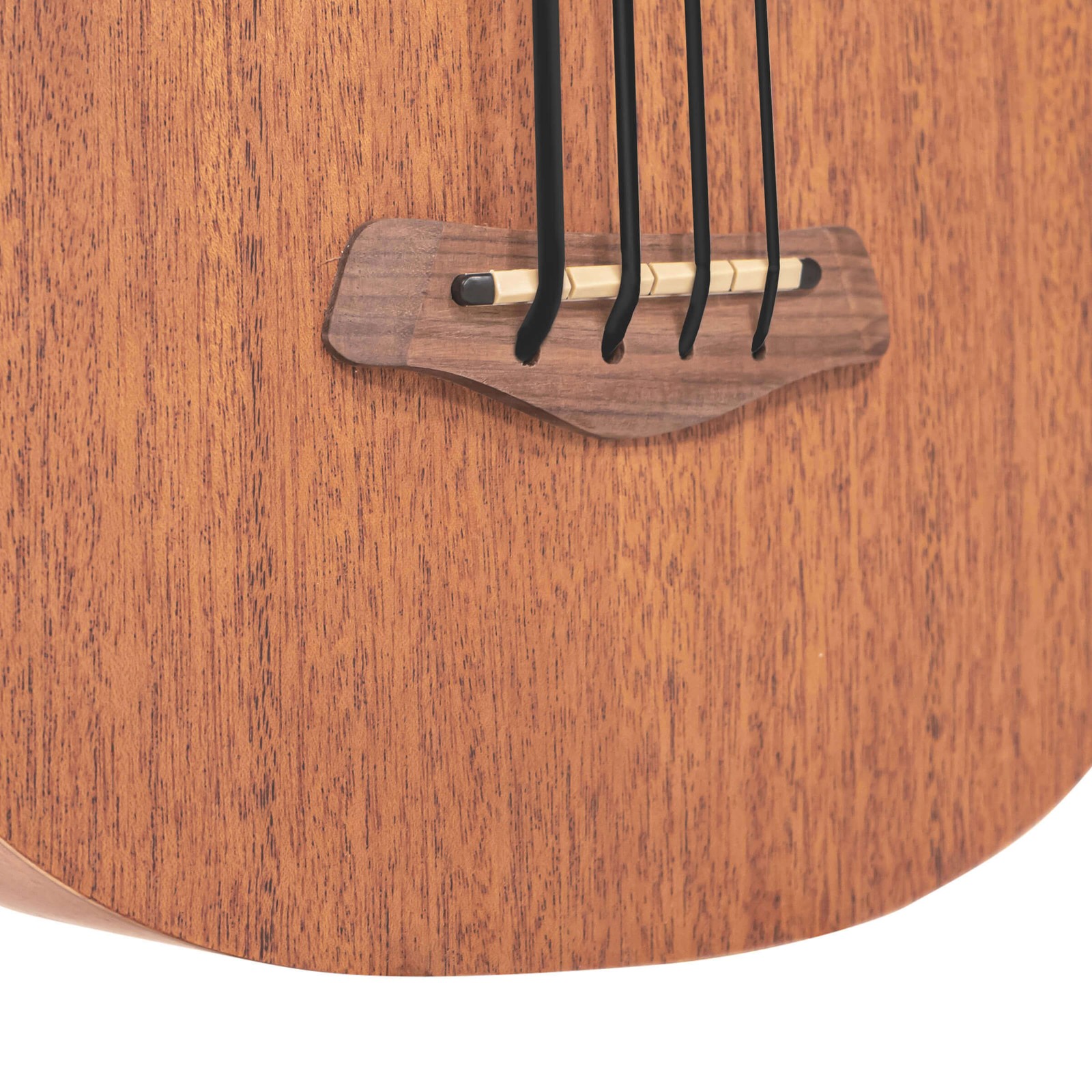 Gold Tone M-Bass25FL | New | Authorized Dealer