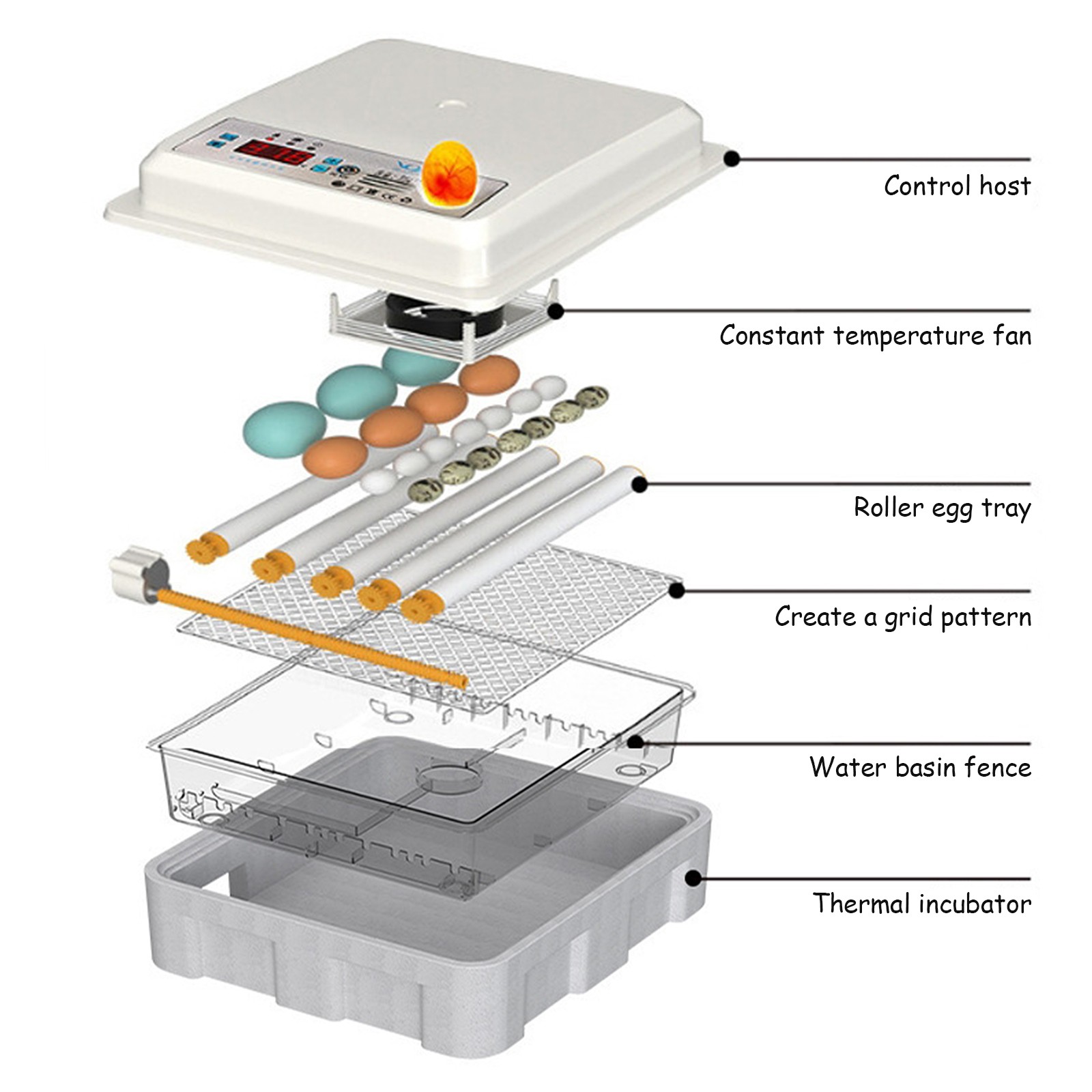 Egg Incubator for Hatching 16/36 Eggs Automatic Egg Turning Temperature Control