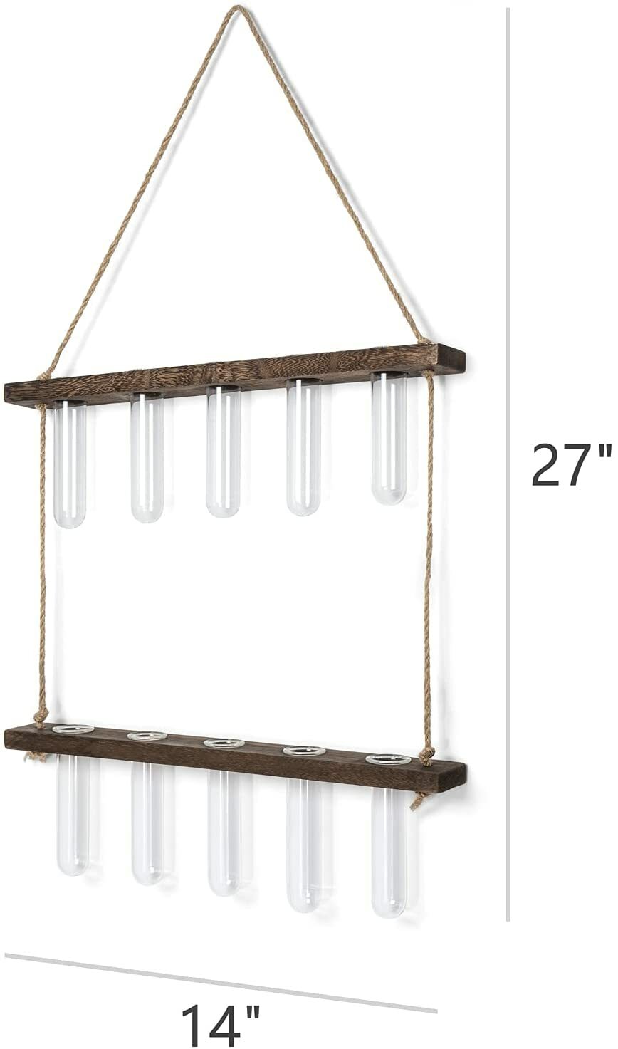 Hanging Plant Propagation Set