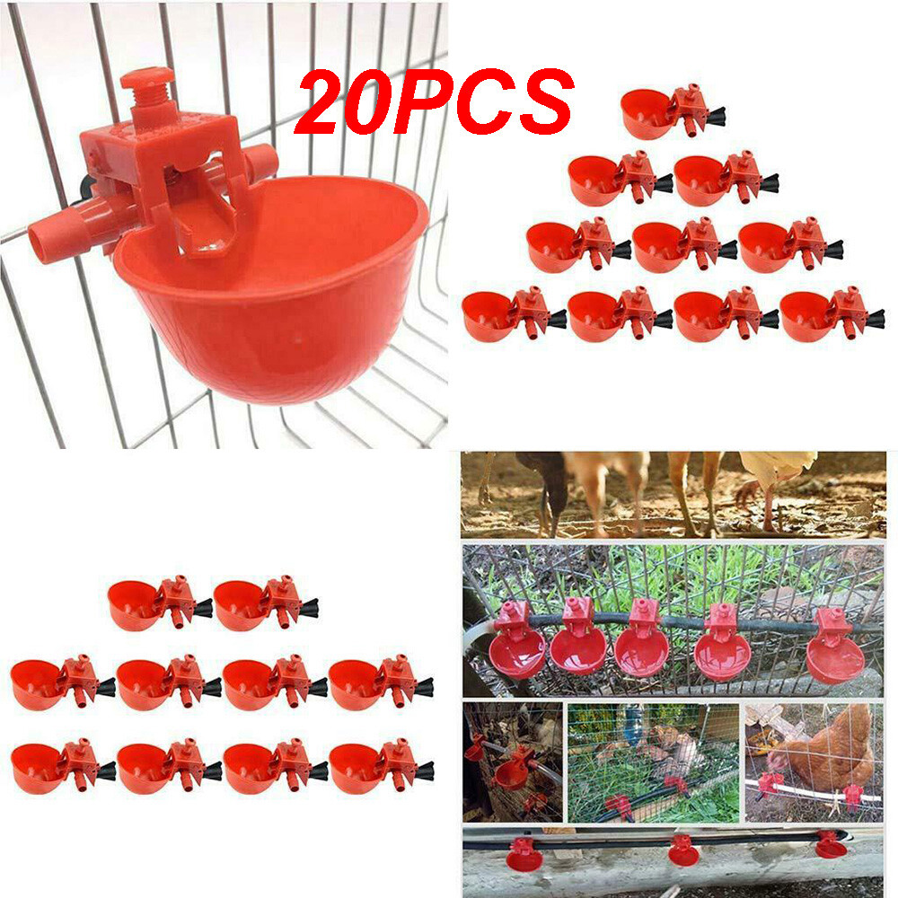 10/20PC Poultry Water Drinking Cups Chicken Hen Plastic Automatic Drinker Quail
