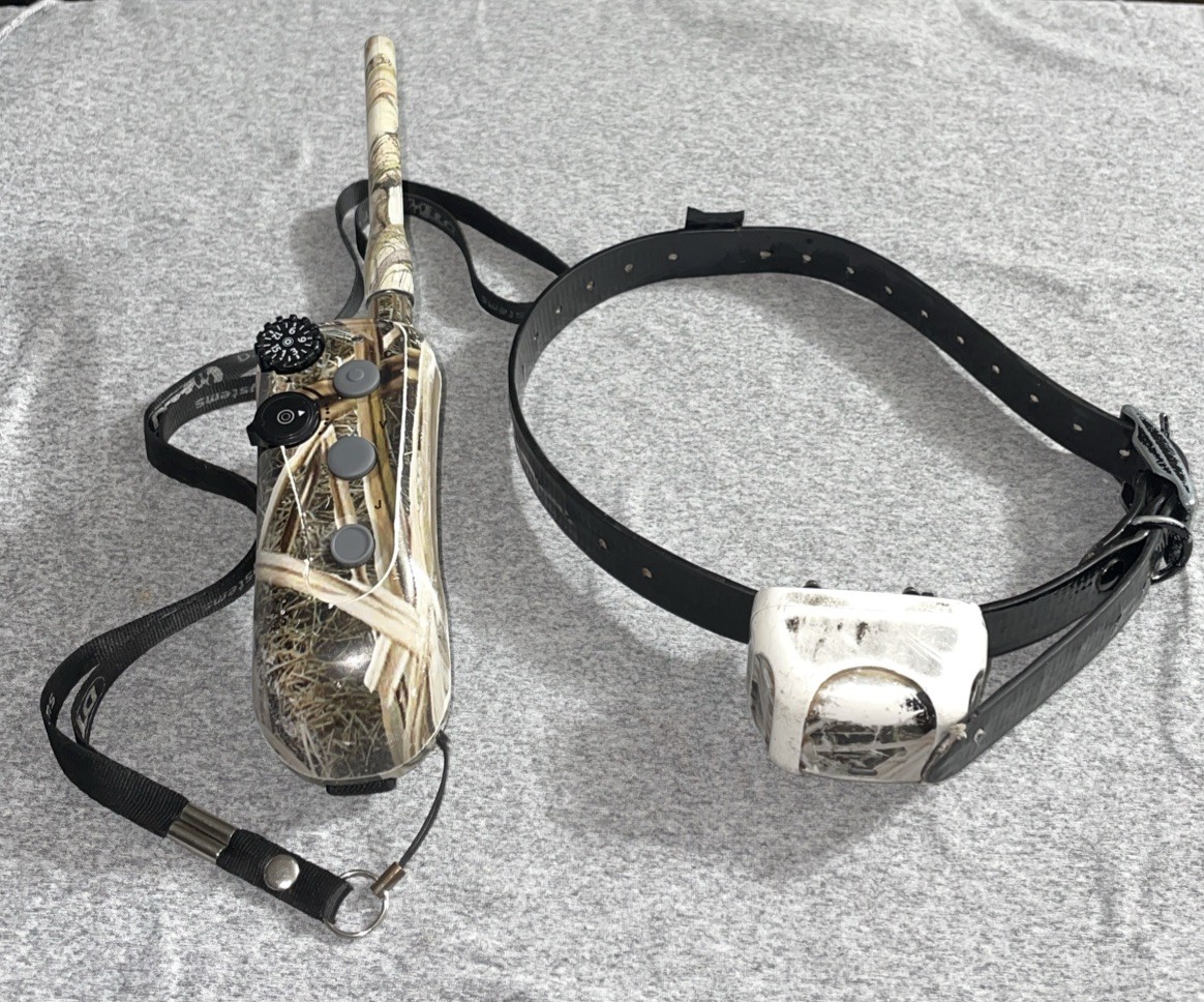 DT Systems R.A.P.T 1400 Remote Control Dog Training Collar System