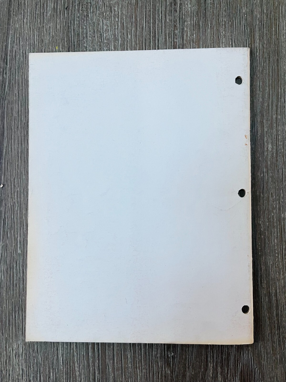 Williams - Solid State Flipper Maintenance Manual - 1979