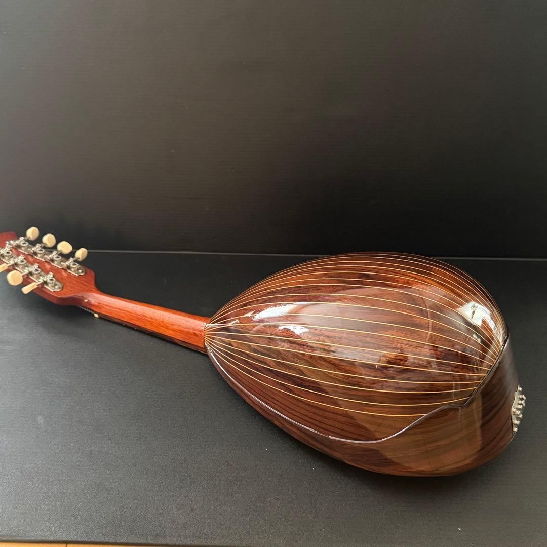 [Hard case ] SUZUKI Mandolin M-215
