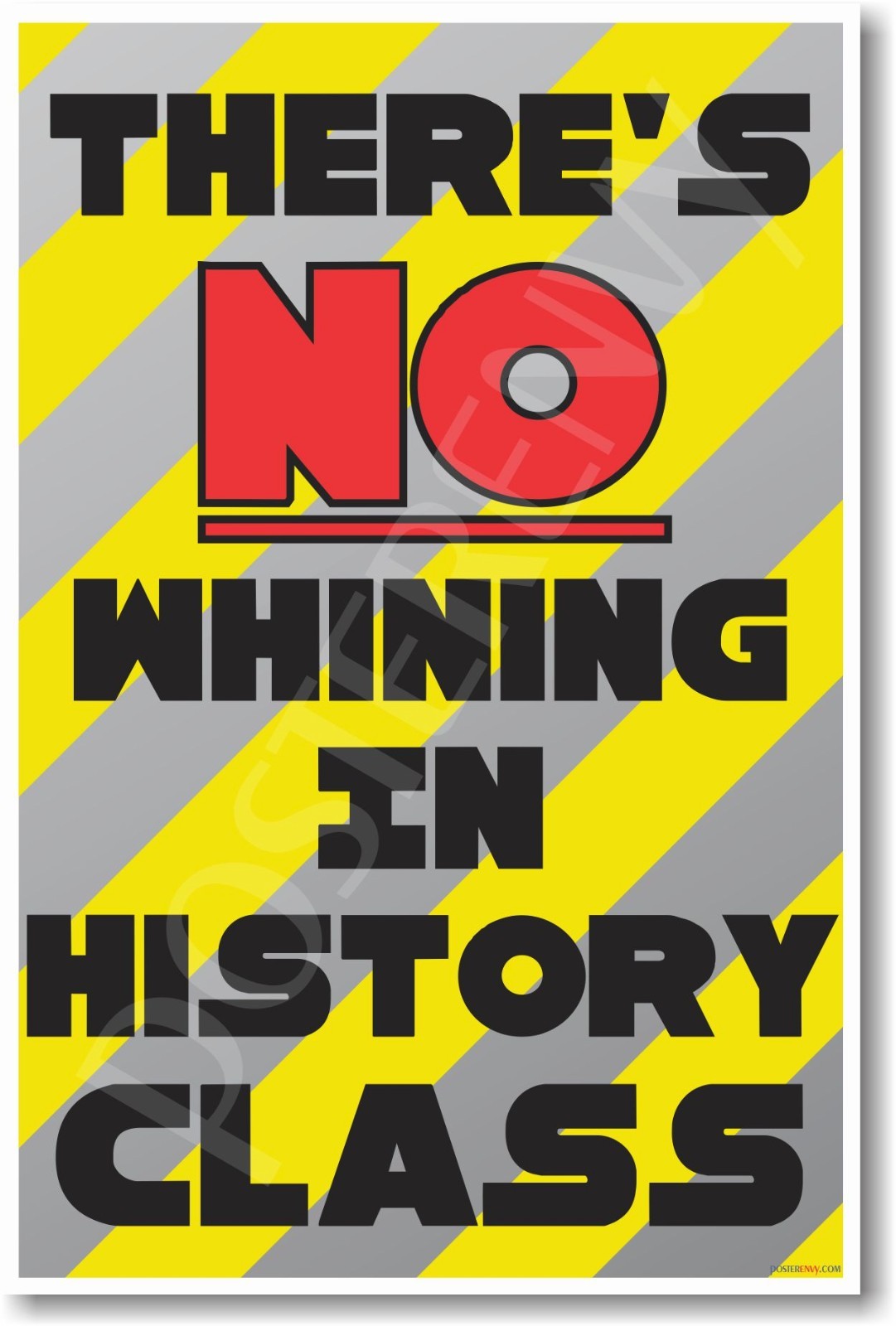 There's No Whining in History Class - NEW Funny Classroom POSTER (cm1193)
