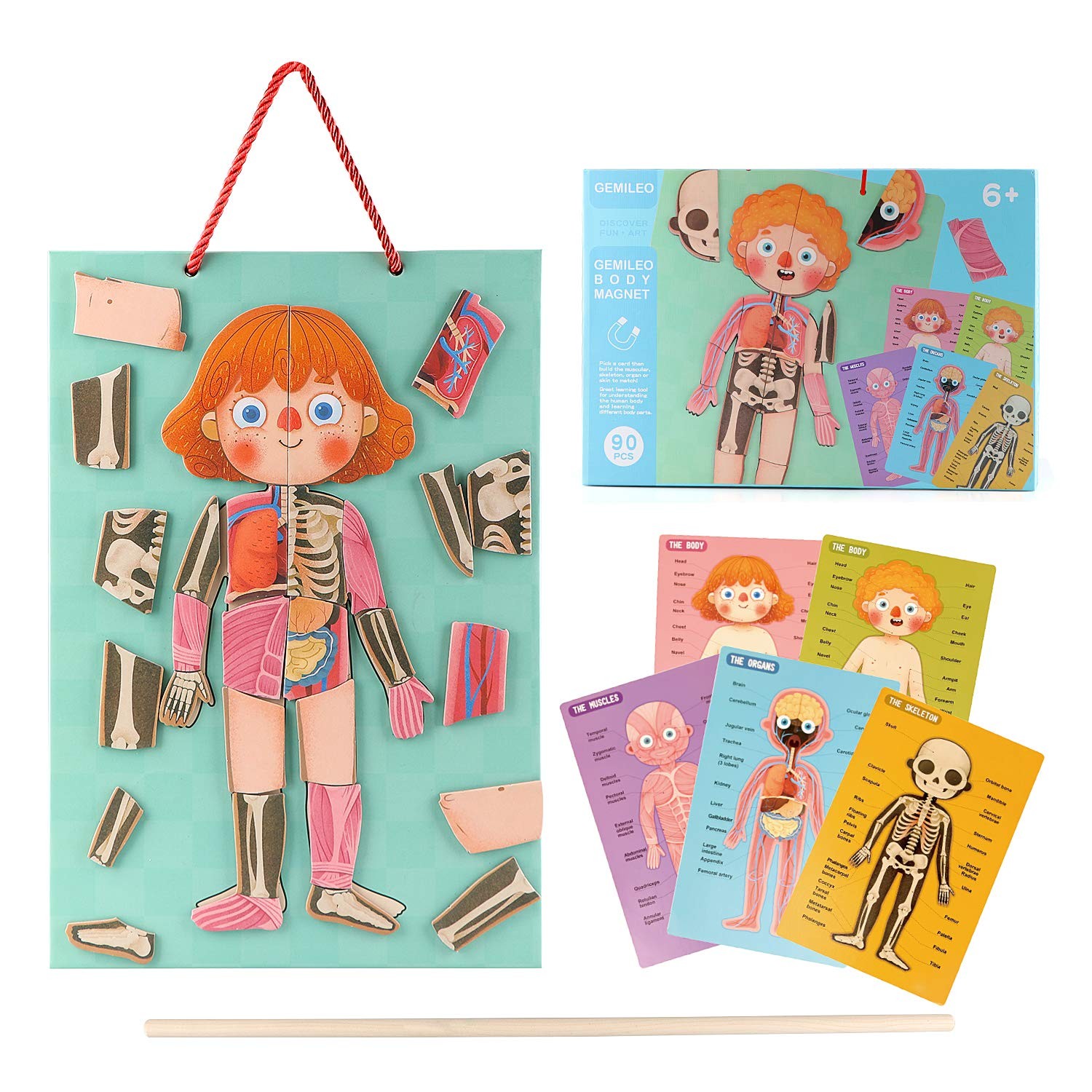 Human Body Puzzle for Kids Toddlers 90PCS Magnetic Boy Girl Anatomy Play Set ...