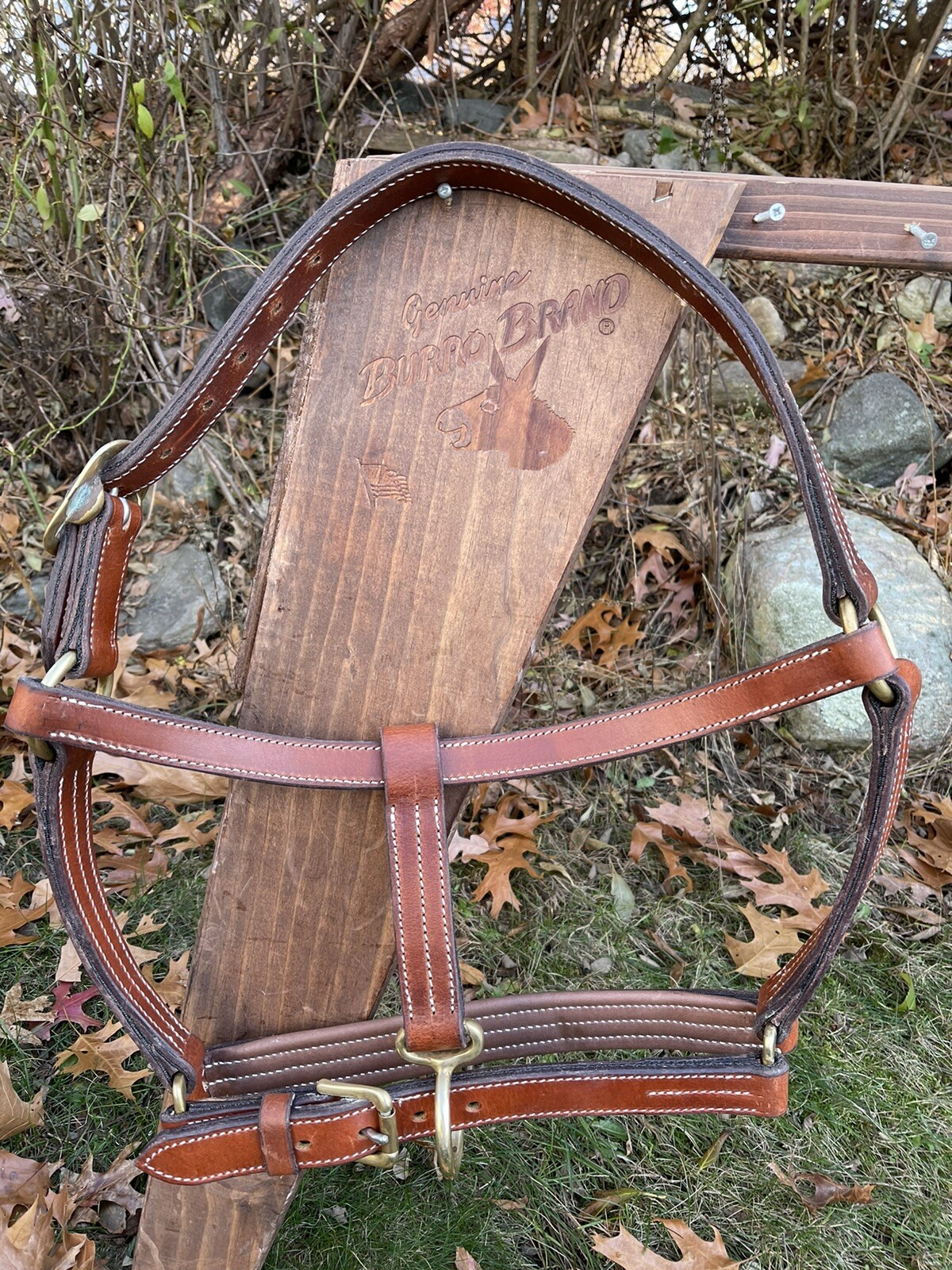 Leaders Worldwide Draft Leather Halter!